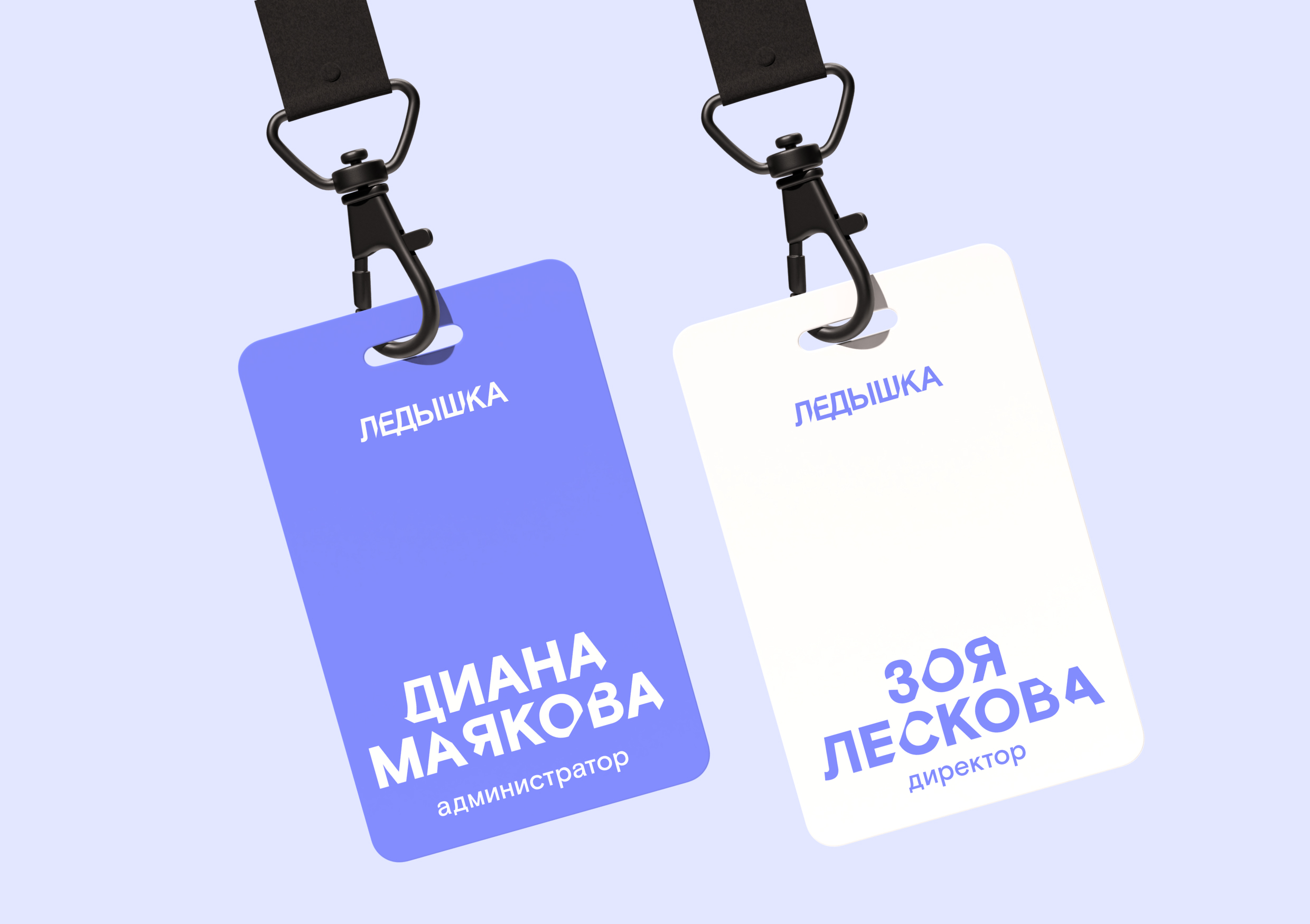 Ледышка — айдентика бренда леденцов — Изображение №5 — Брендинг на Dprofile