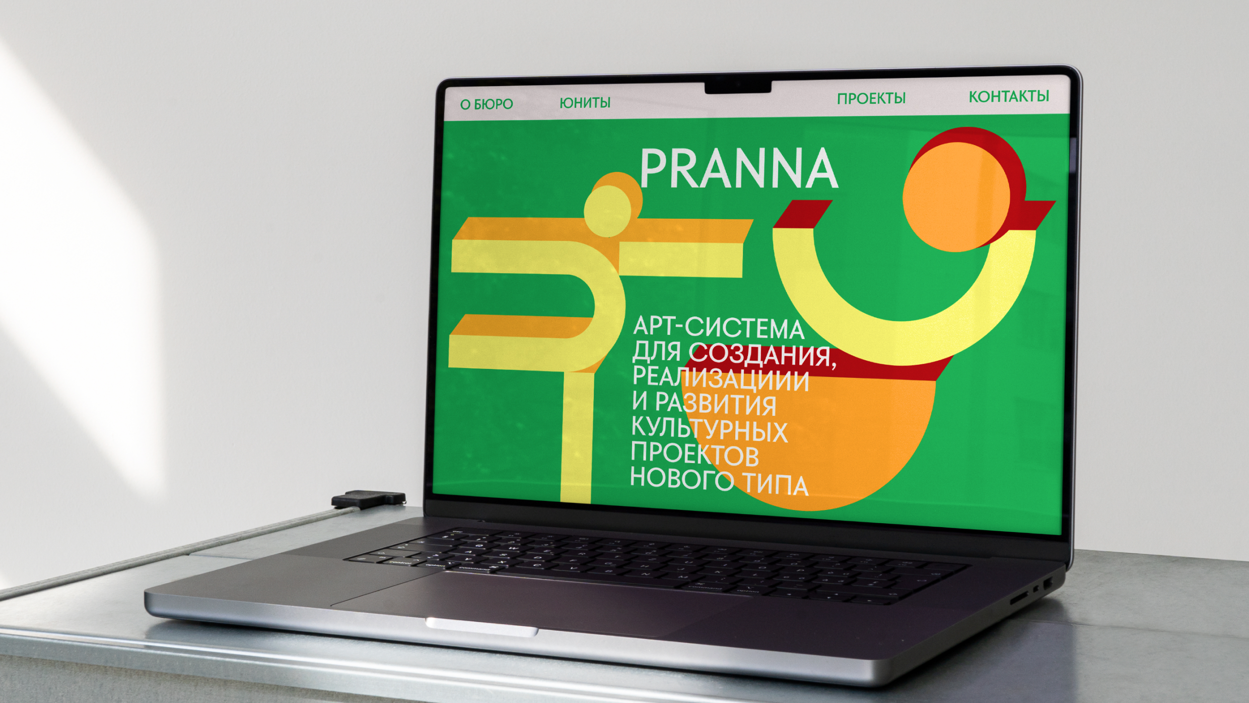 Концепт-бюро PRANNA — Изображение №13 — Брендинг на Dprofile