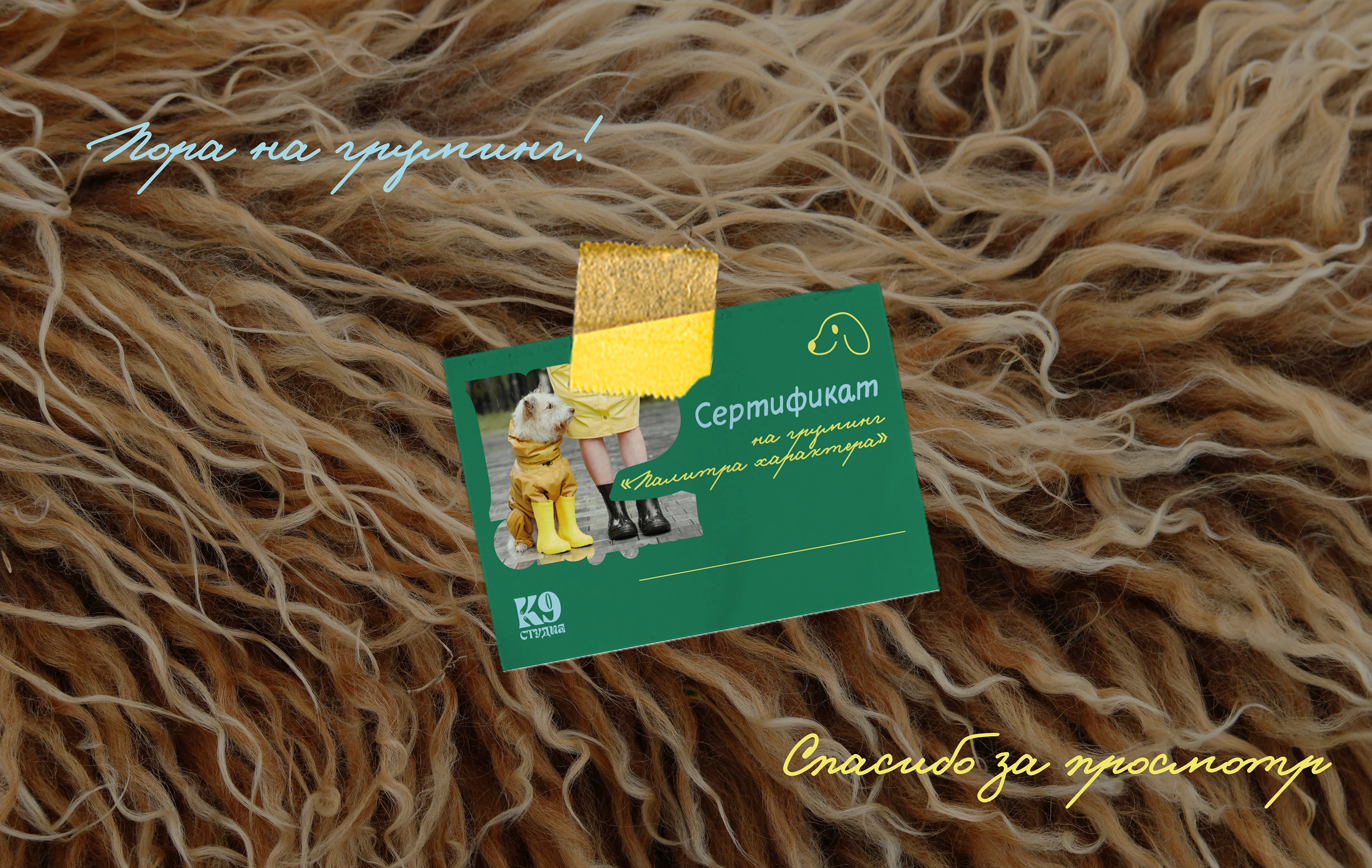 Студия К9 - Фирменный стиль для груминга — Изображение №19 — Брендинг, Графика на Dprofile