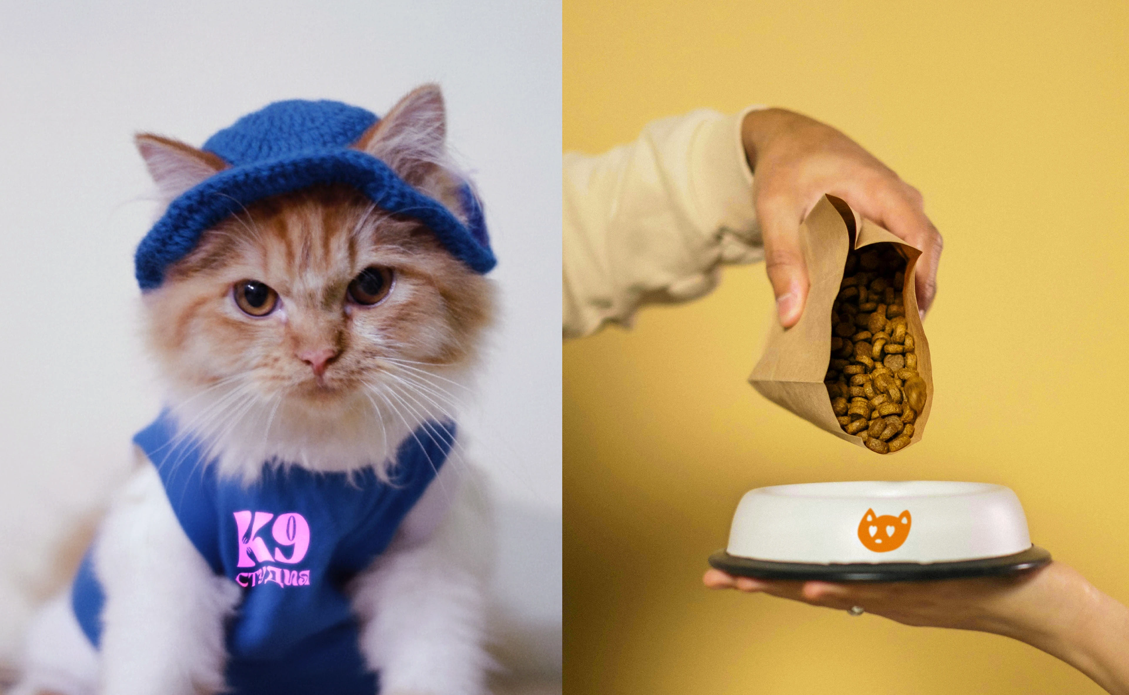 Студия К9 - Фирменный стиль для груминга — Изображение №16 — Брендинг, Графика на Dprofile