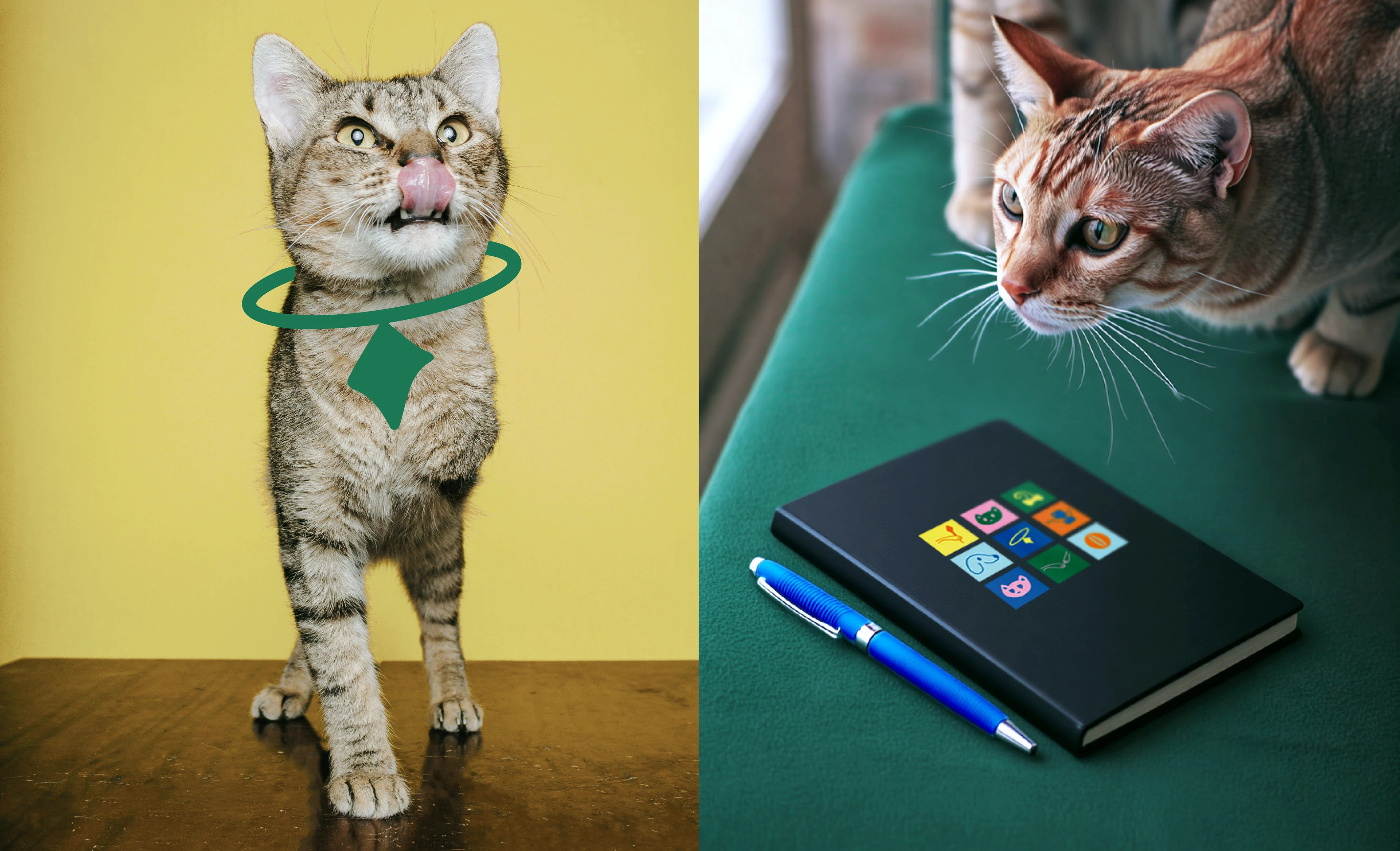 Студия К9 - Фирменный стиль для груминга — Изображение №18 — Брендинг, Графика на Dprofile