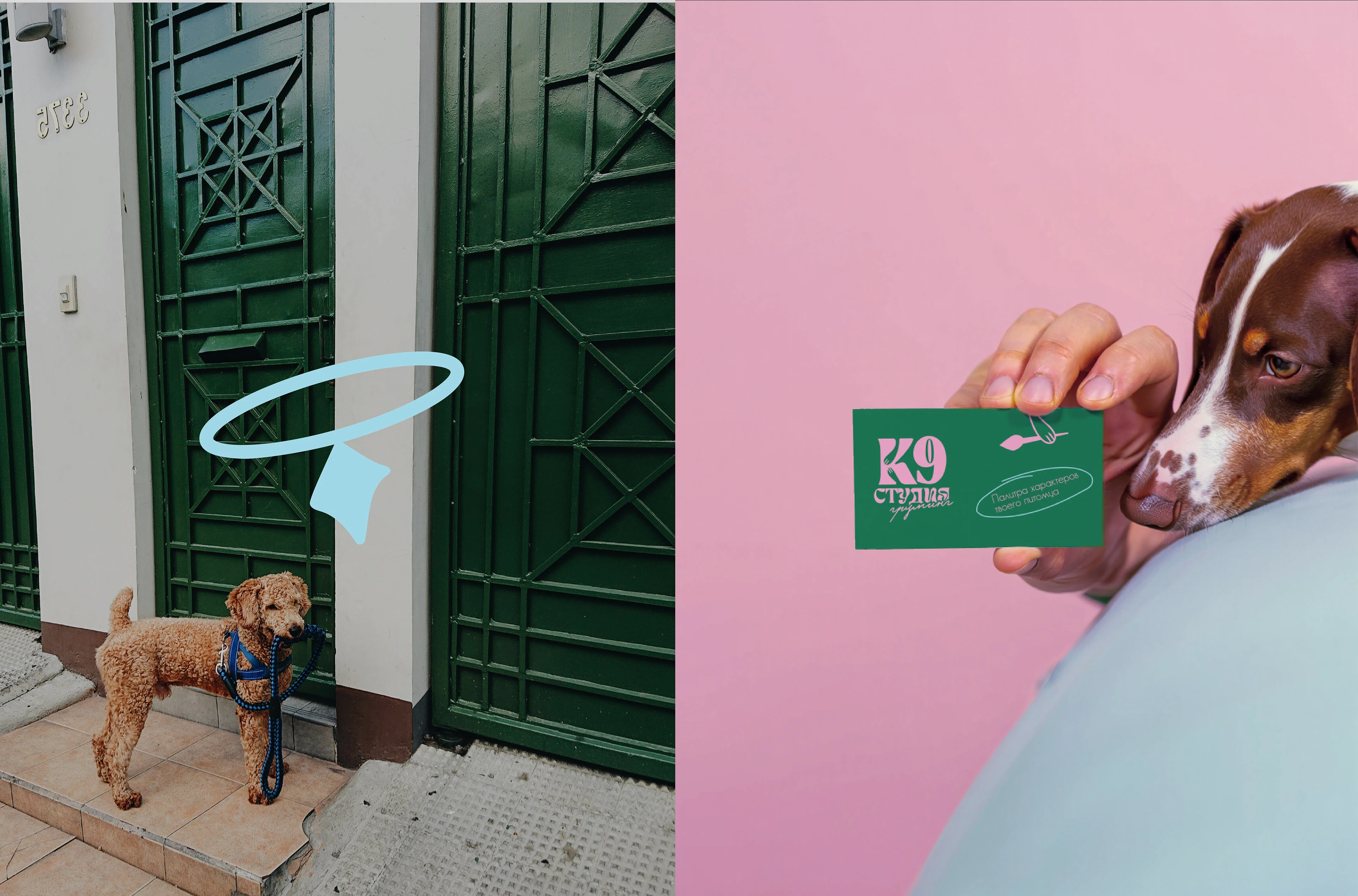 Студия К9 - Фирменный стиль для груминга — Изображение №10 — Брендинг, Графика на Dprofile