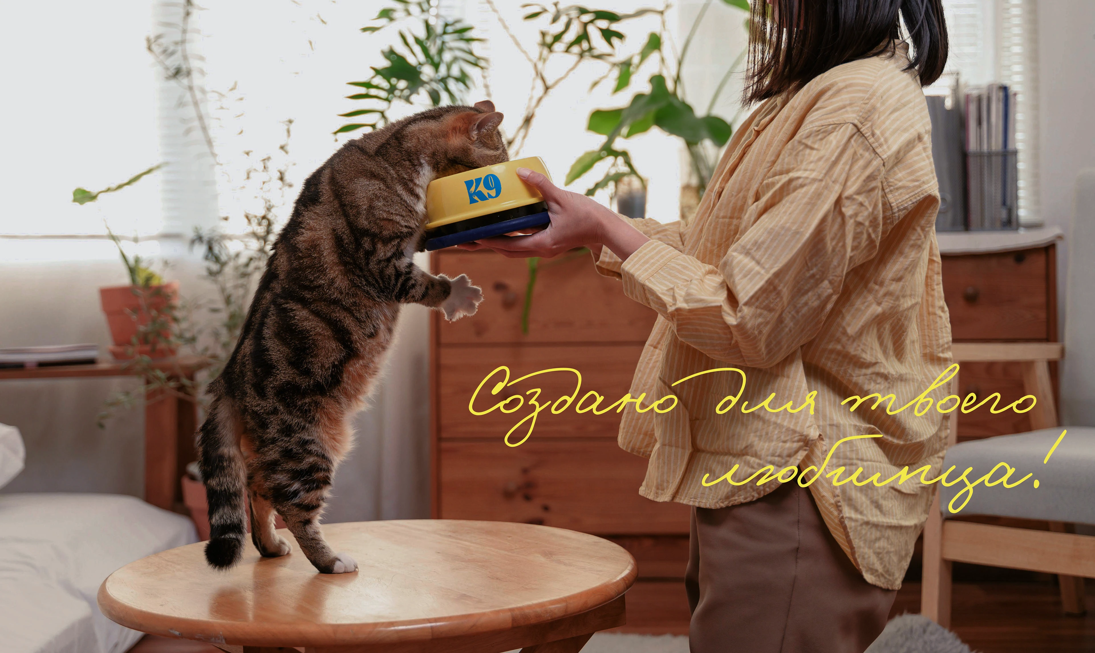 Студия К9 - Фирменный стиль для груминга — Изображение №1 — Брендинг, Графика на Dprofile