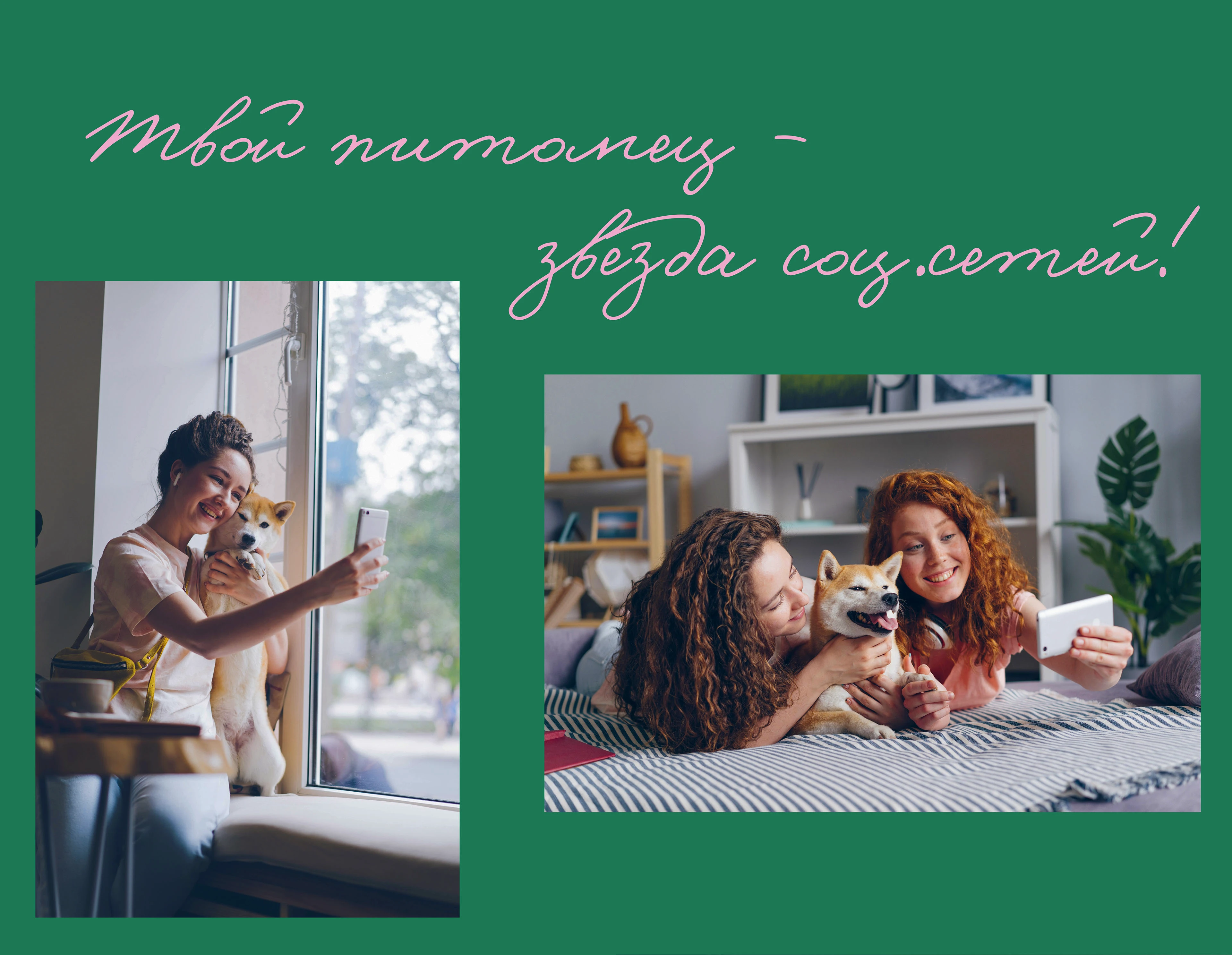 Студия К9 - Фирменный стиль для груминга — Изображение №2 — Брендинг, Графика на Dprofile