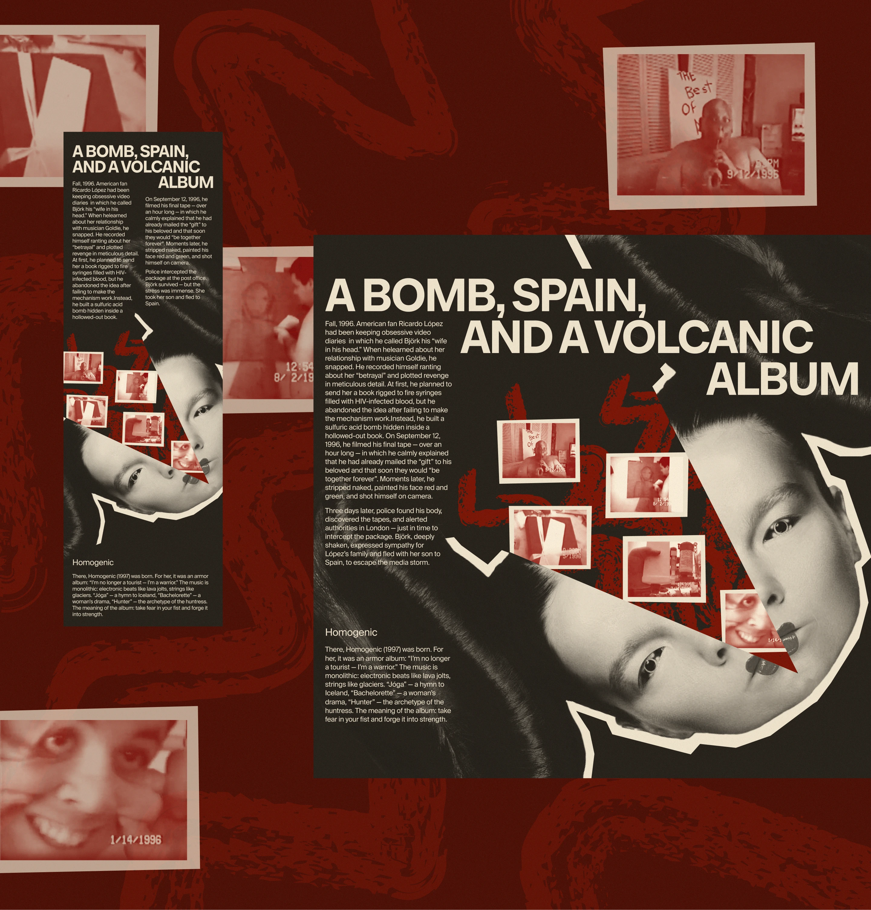 Björk | Longread — Изображение №8 — Интерфейсы на Dprofile