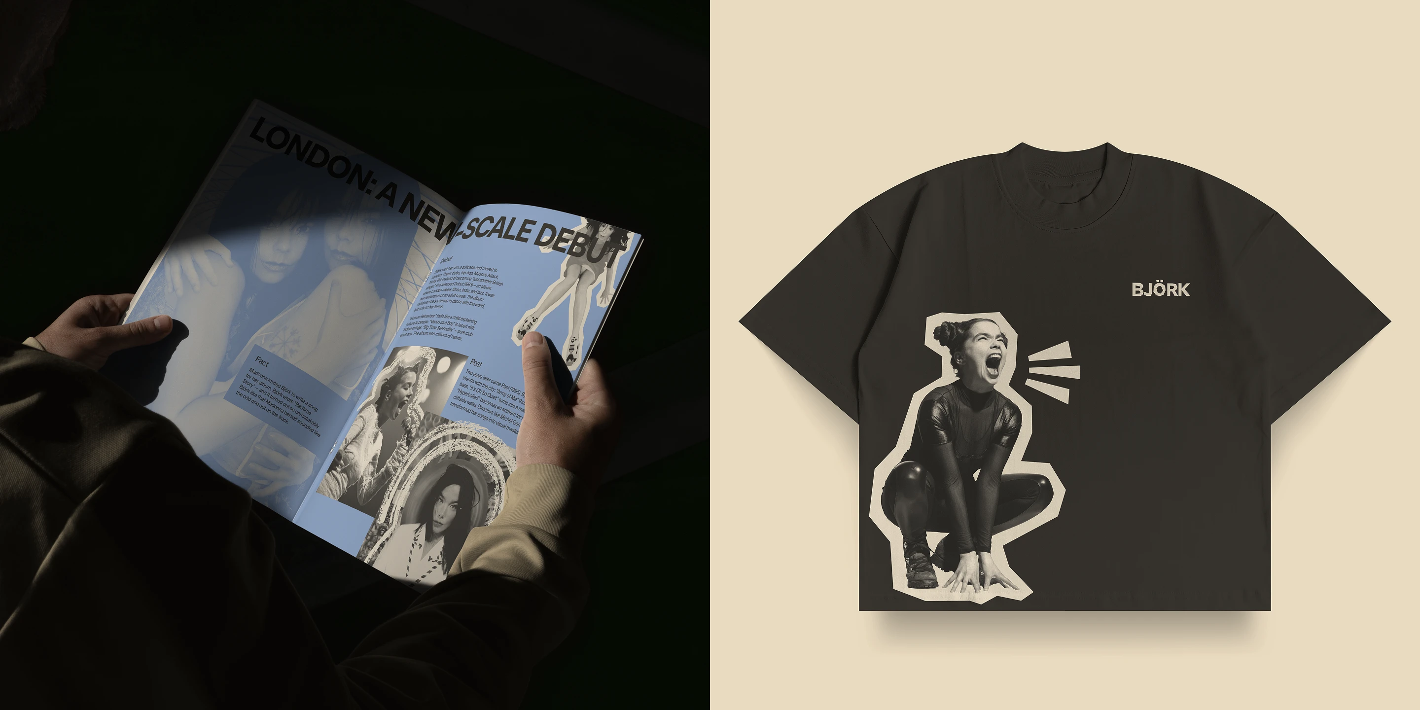 Björk | Longread — Изображение №7 — Интерфейсы на Dprofile