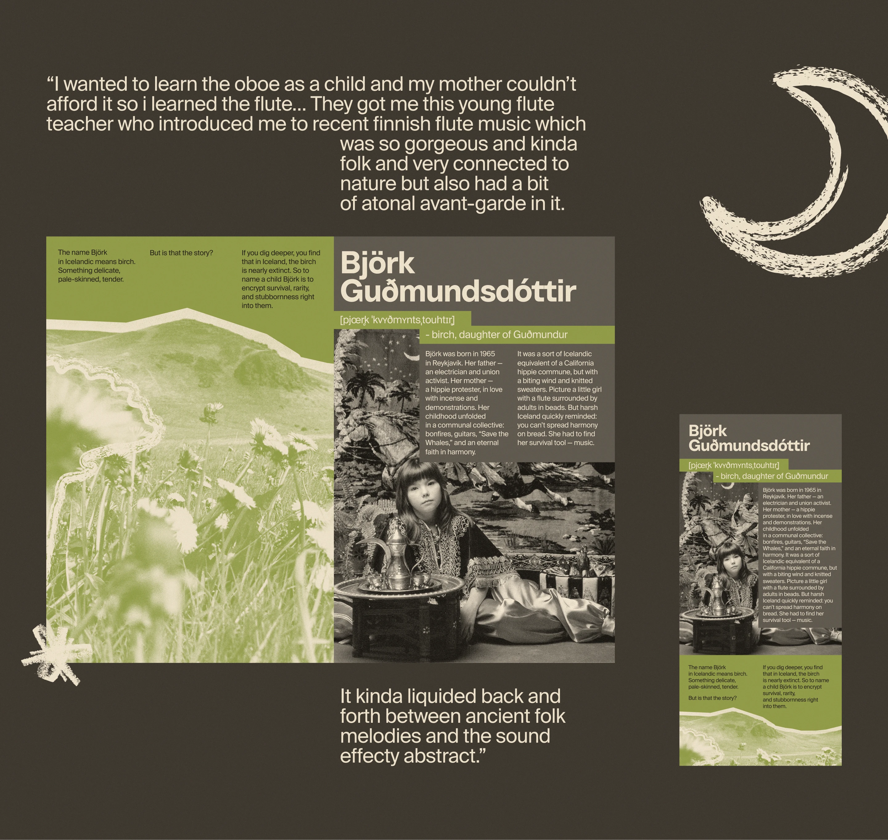 Björk | Longread — Изображение №4 — Интерфейсы на Dprofile