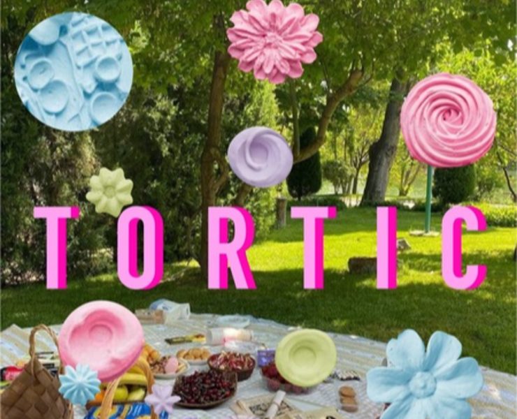TORTIC fest, Brand Identity на Dprofile
