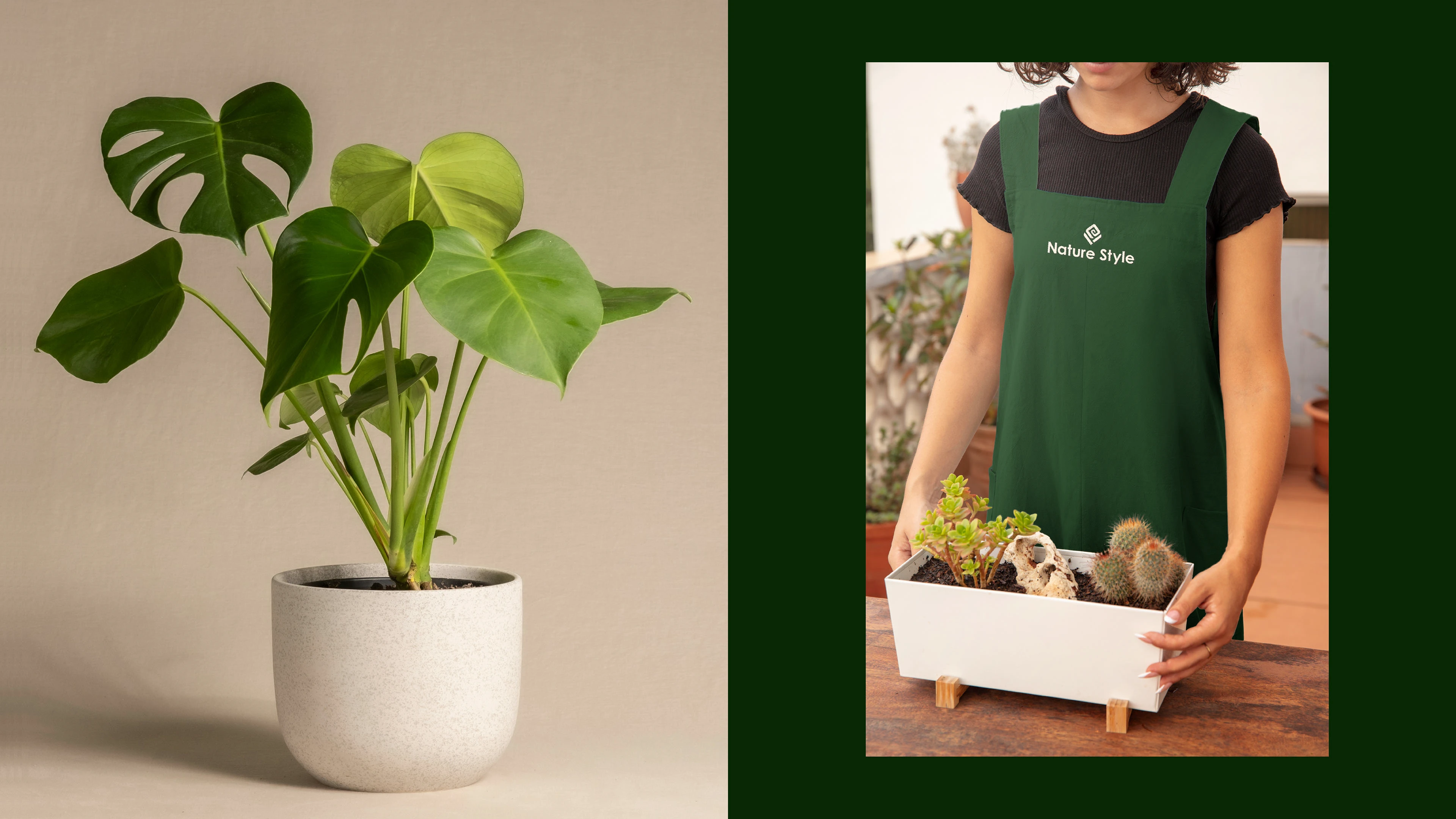 Nature Style/Фирменный стиль — Изображение №9 — Брендинг, Графика на Dprofile