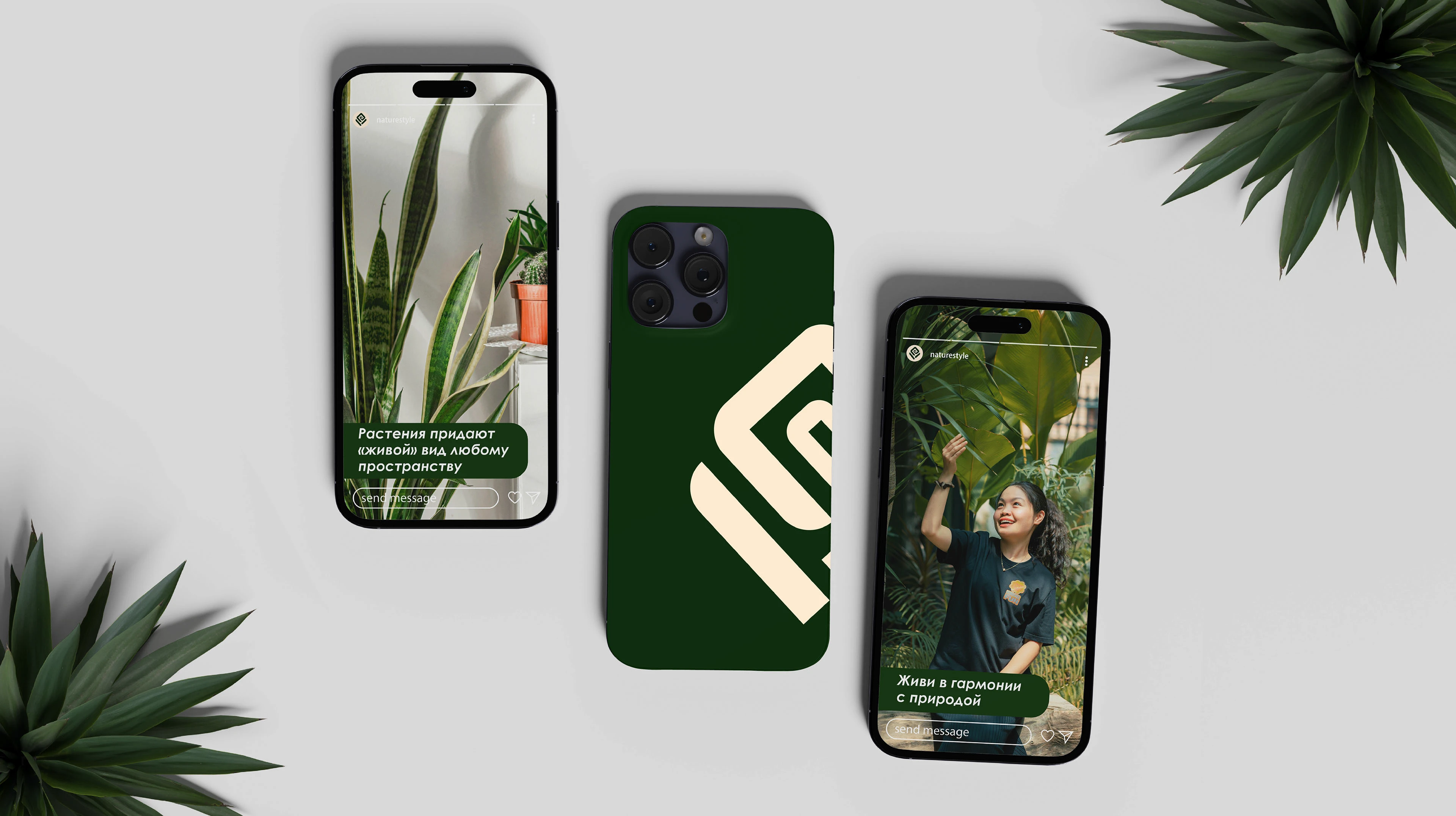 Nature Style/Фирменный стиль — Изображение №16 — Брендинг, Графика на Dprofile