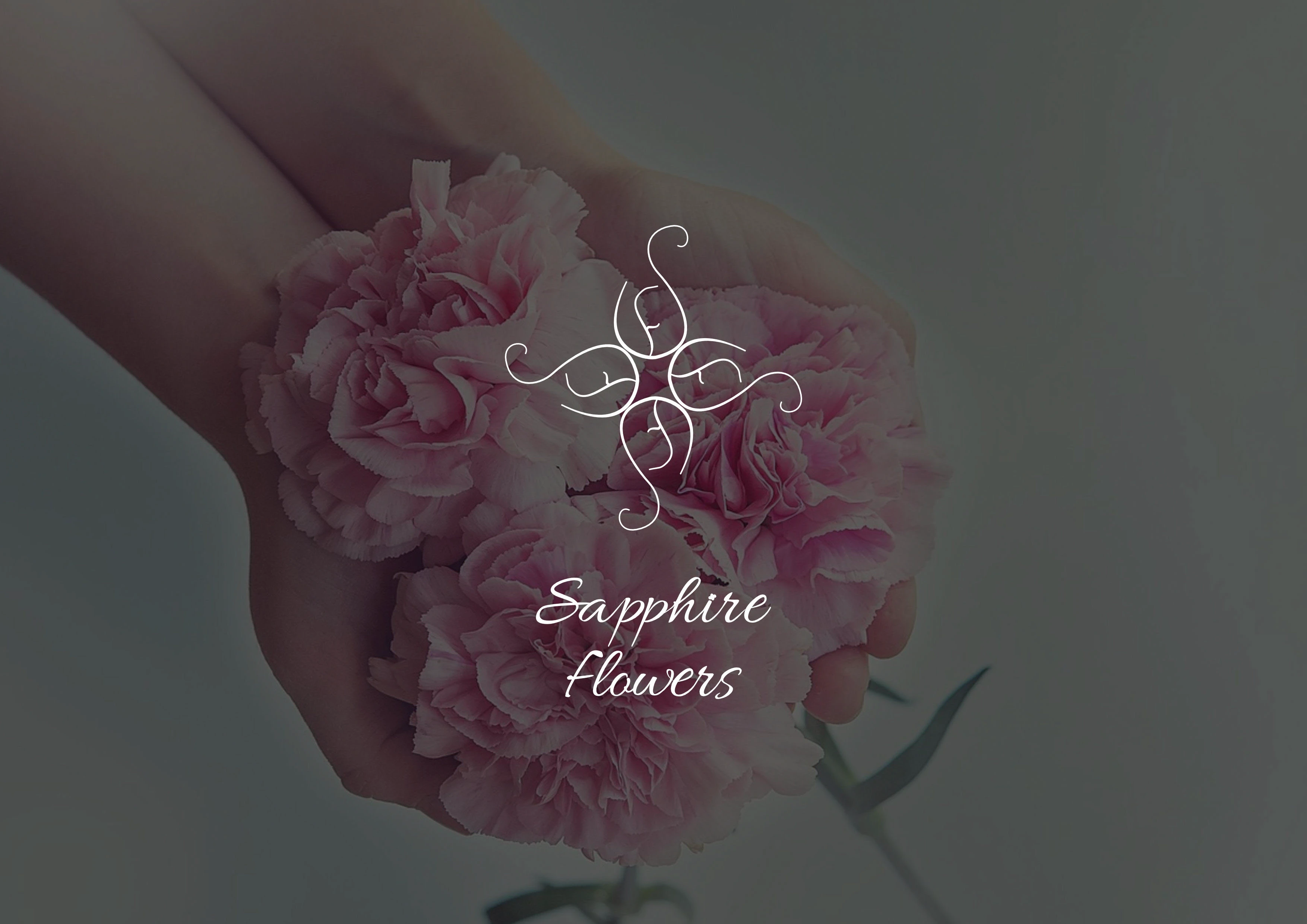 Бренд Sapphire flowers — Изображение №1 — Брендинг на Dprofile