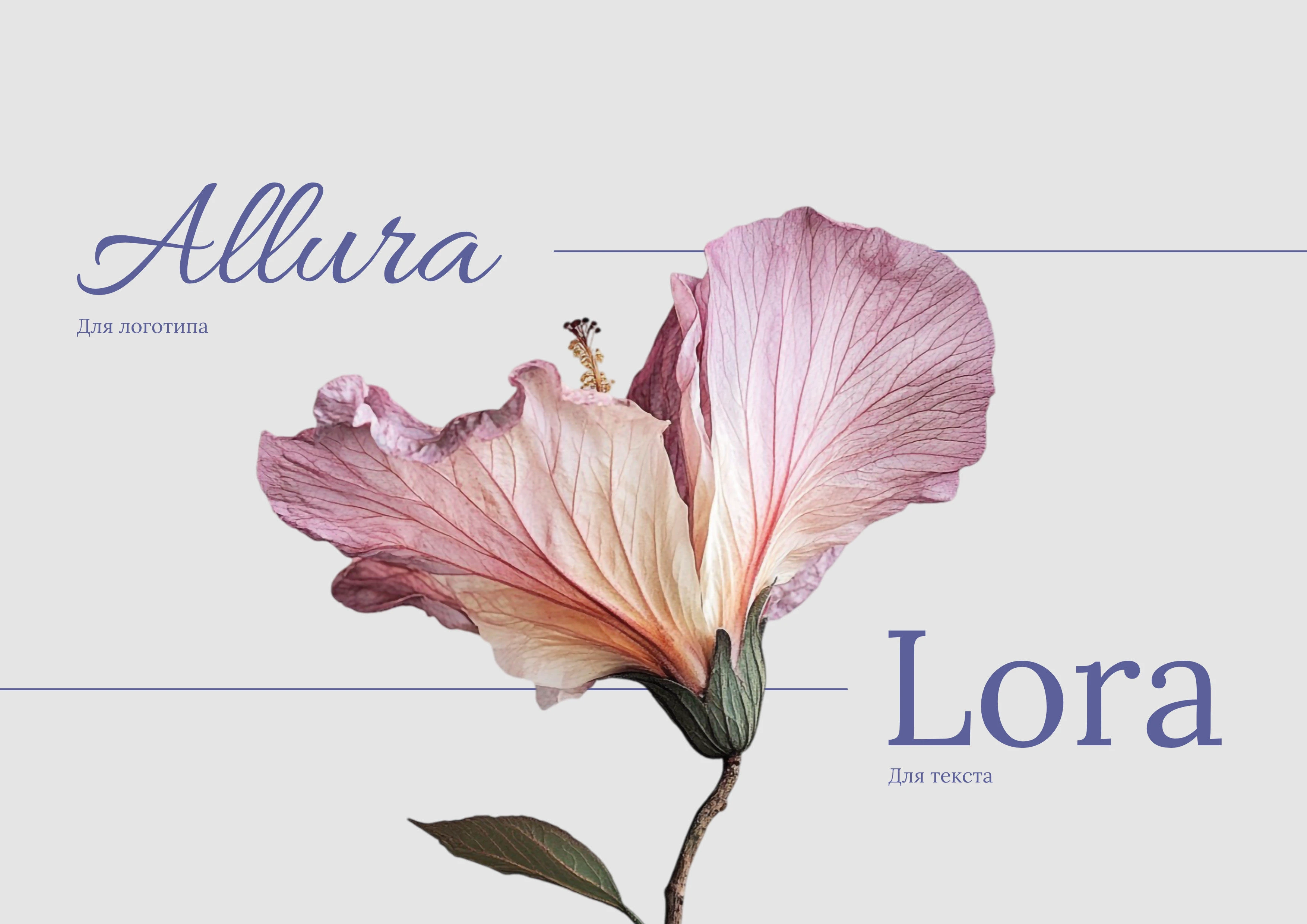 Бренд Sapphire flowers — Изображение №6 — Брендинг на Dprofile