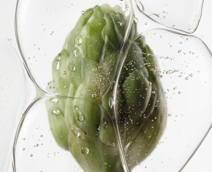 Упаковка для уходовой косметики SPL — Брендинг, Нейро на Dprofile