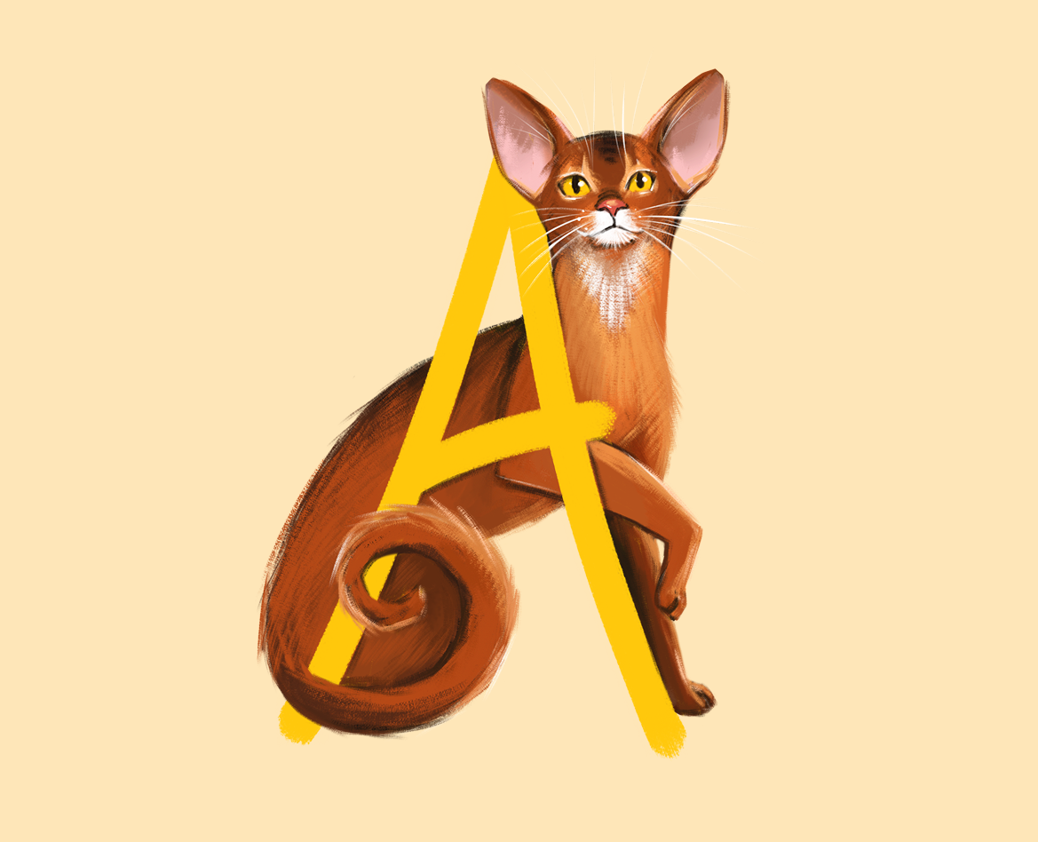 Кошачий алфавит| БКВЧ — 2025 — Иллюстрация, Графика на Dprofile