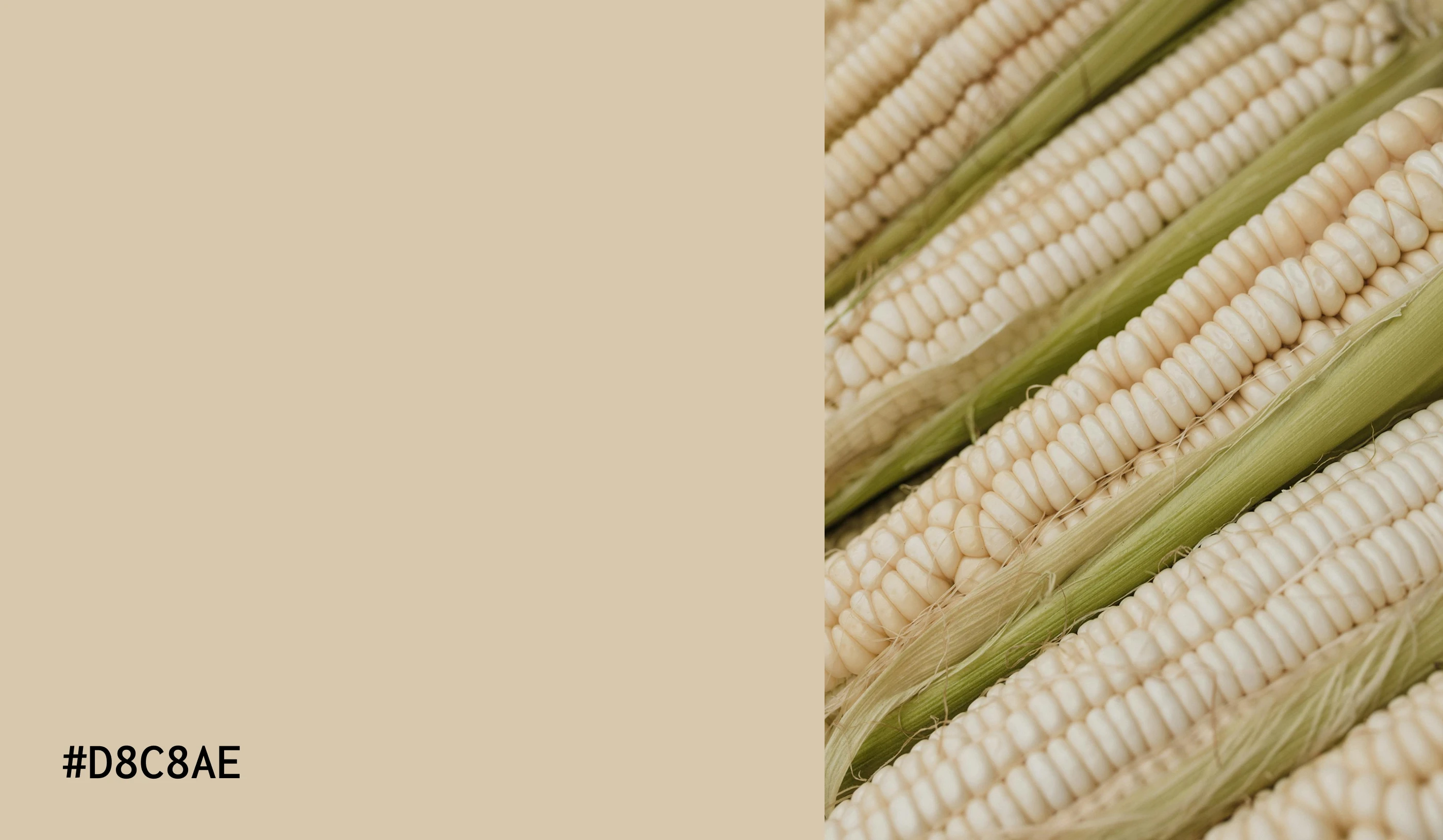 Логотип для фермерского ресторана/ Logo design, Graphic — Изображение №5 — Брендинг на Dprofile