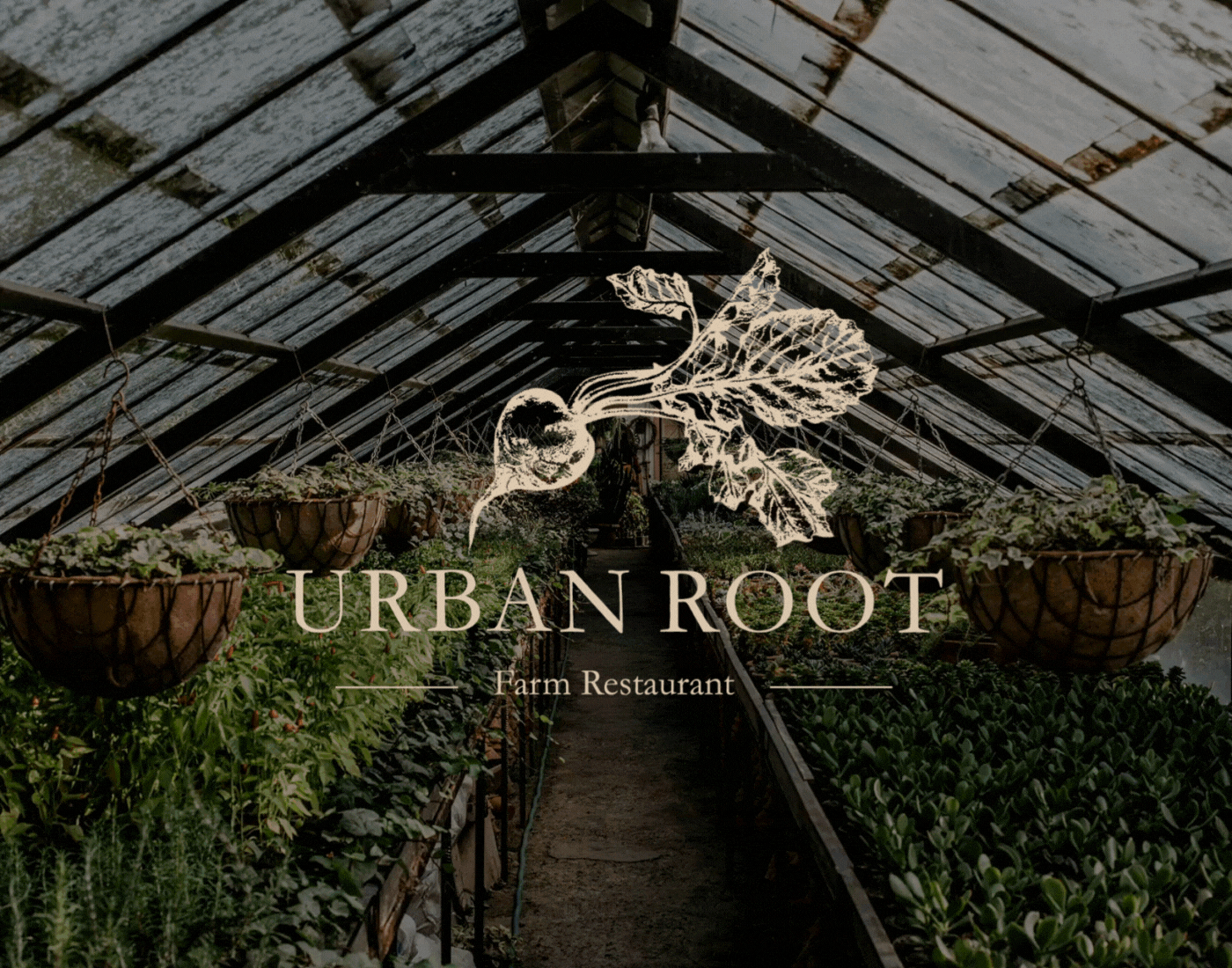 Логотип для фермерского ресторана/ Logo design, Graphic — Изображение №1 — Брендинг на Dprofile