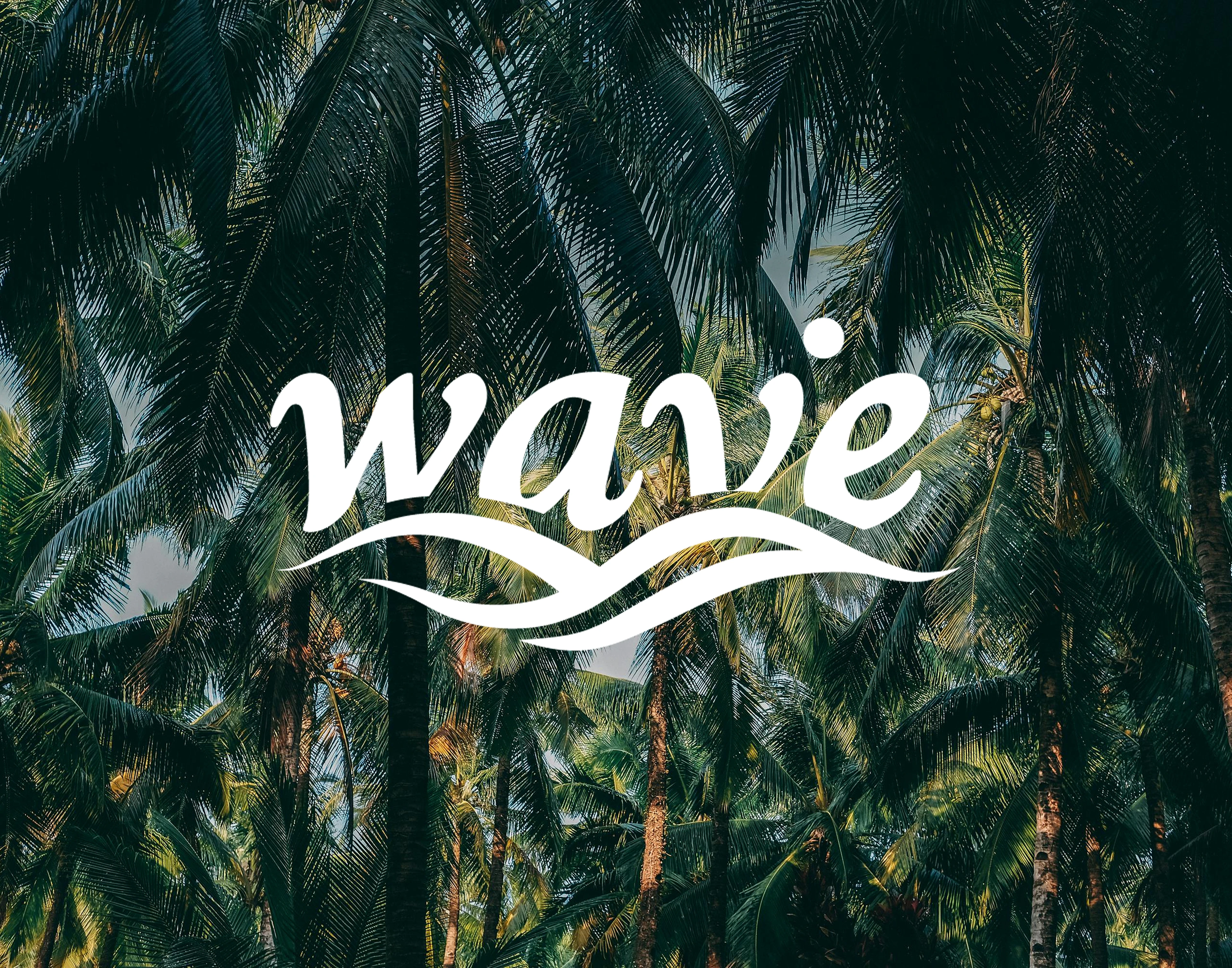 Логотип для Surf-Cafe — Изображение №13 — Брендинг на Dprofile