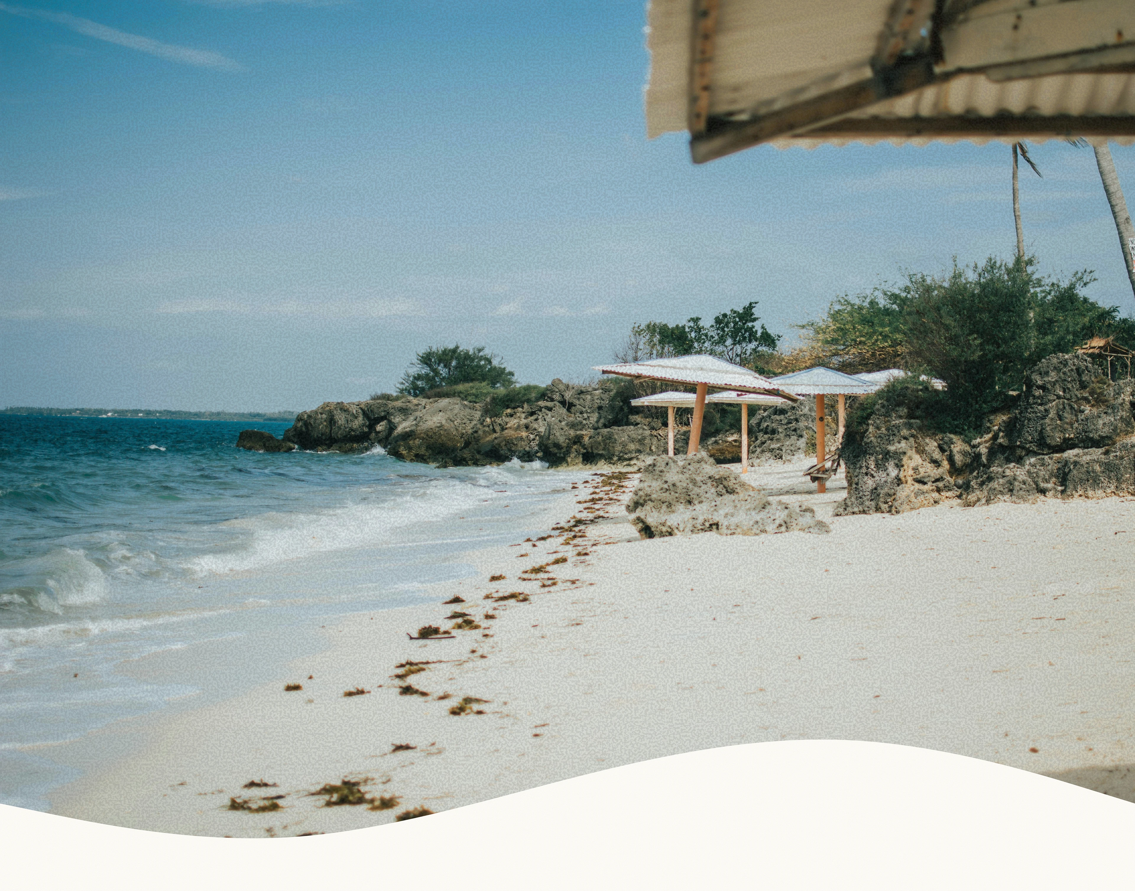 Логотип для Surf-Cafe — Изображение №3 — Брендинг на Dprofile