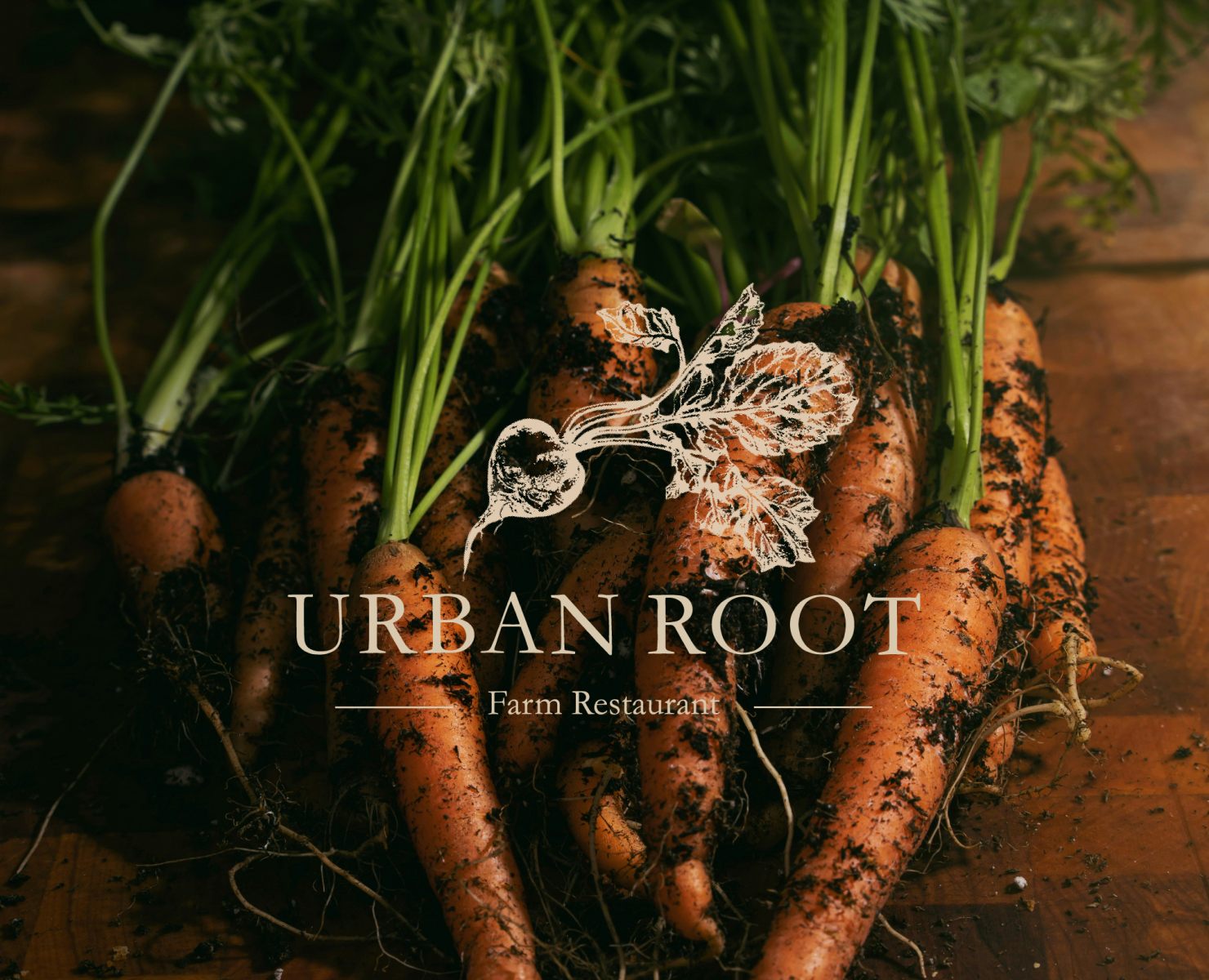 Логотип для фермерского ресторана/ Logo design, Graphic — Брендинг на Dprofile