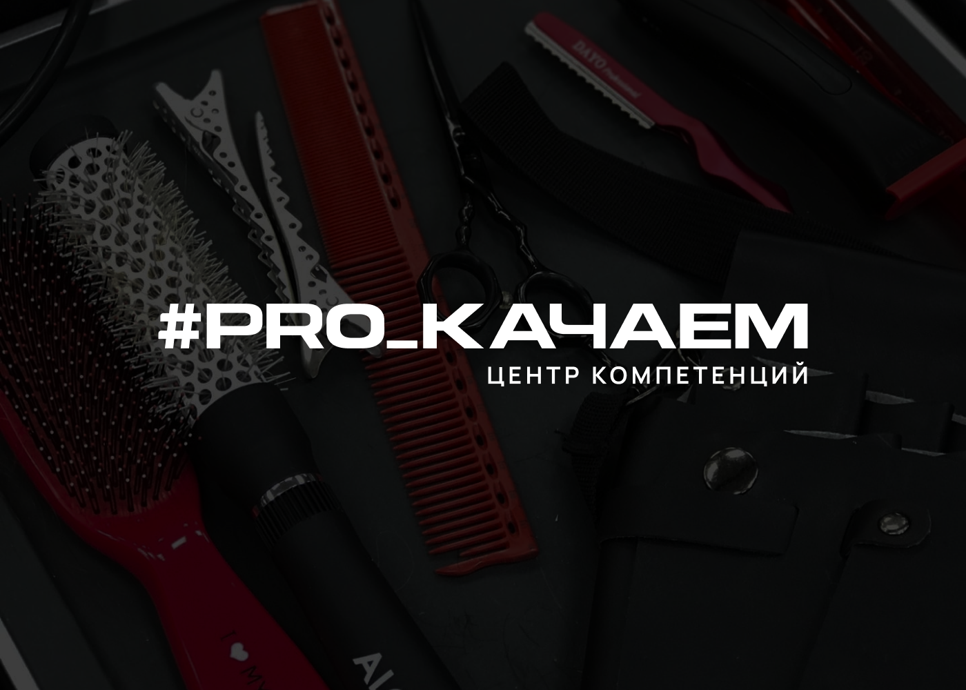 Брендинг центра компетенций #PRO_КАЧАЕМ — Изображение №1 — Брендинг, Графика на Dprofile