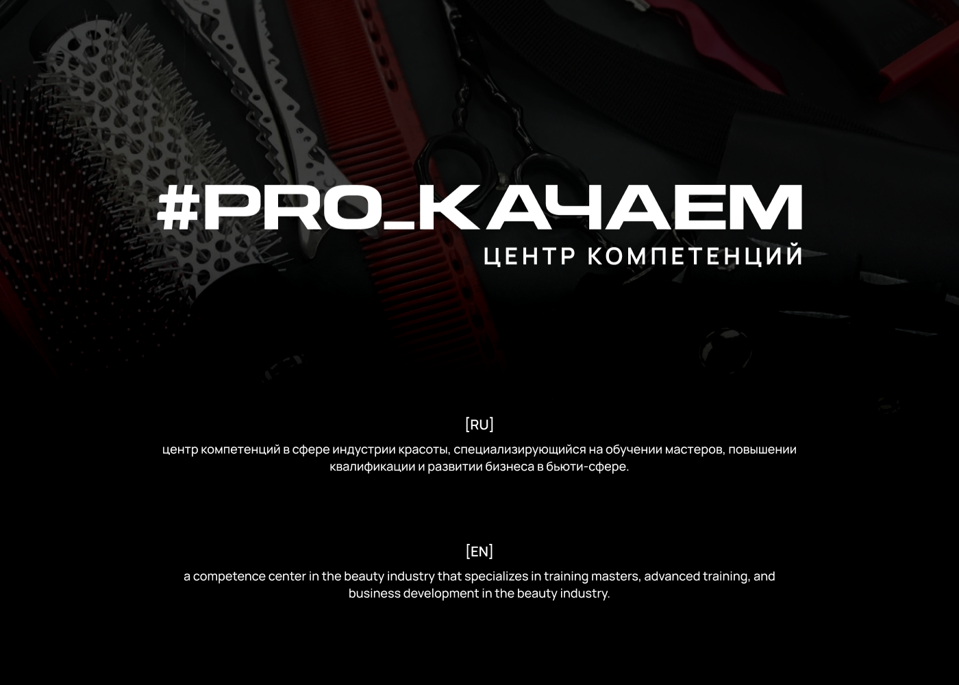 портфолио / portfolio — Изображение №9 — Графика на Dprofile