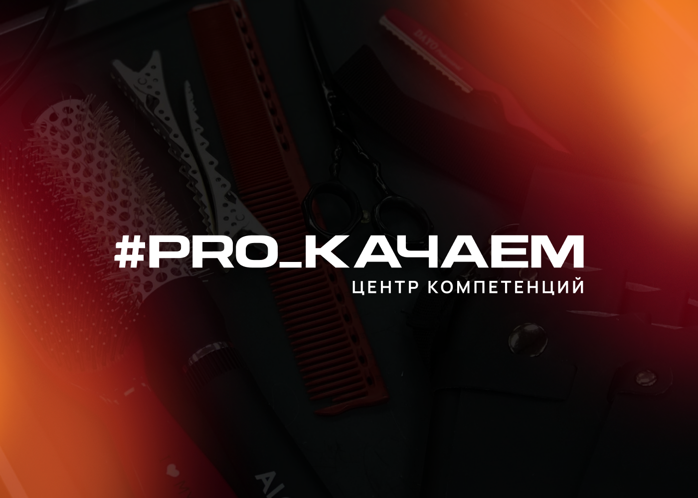 Брендинг центра компетенций #PRO_КАЧАЕМ — Изображение №1 — Брендинг, Графика на Dprofile