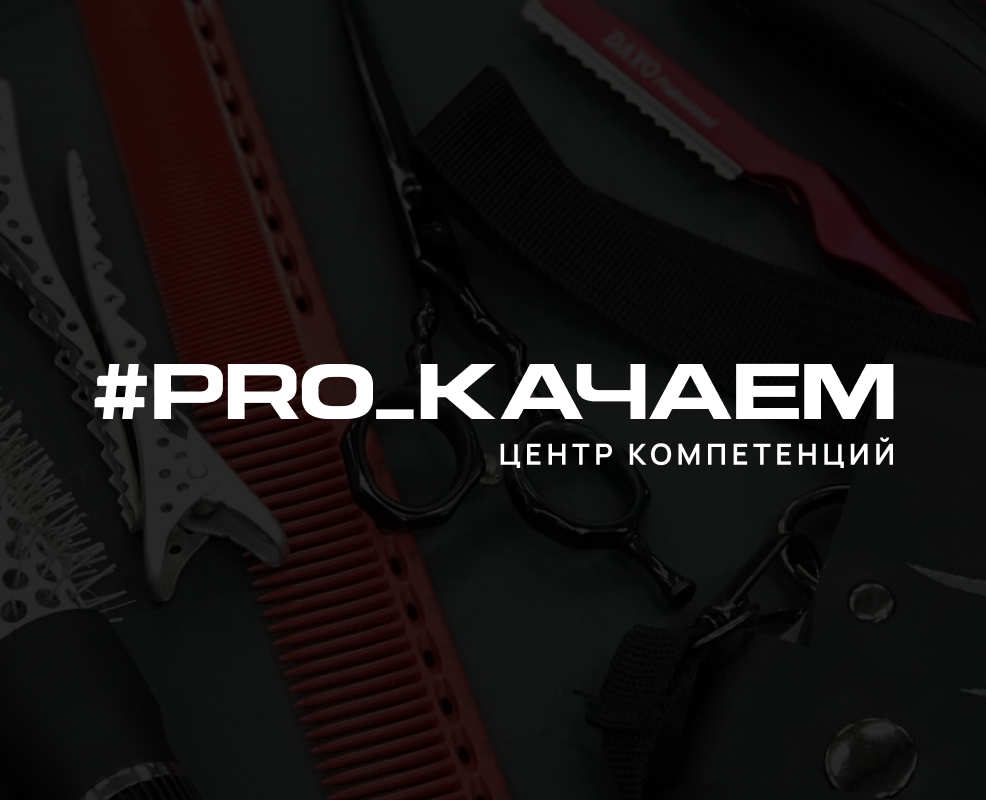 Брендинг центра компетенций #PRO_КАЧАЕМ — Брендинг, Графика на Dprofile