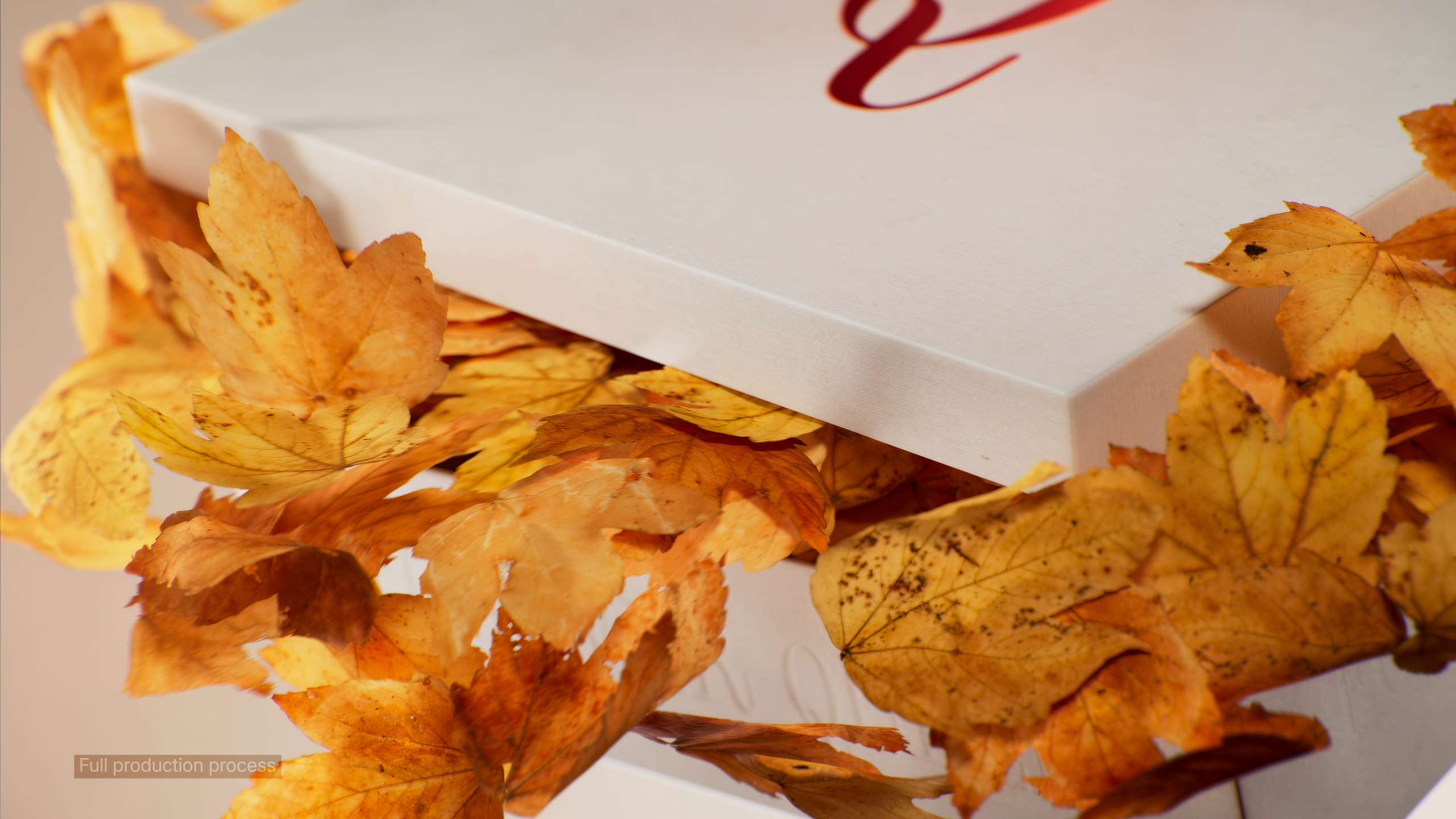 Motion Design Reel 2025 — Изображение №5 — 3D, Анимация на Dprofile