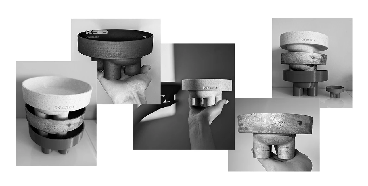 Loyal Leggy Bowl - KSID — Изображение №13 — 3D, Анимация на Dprofile