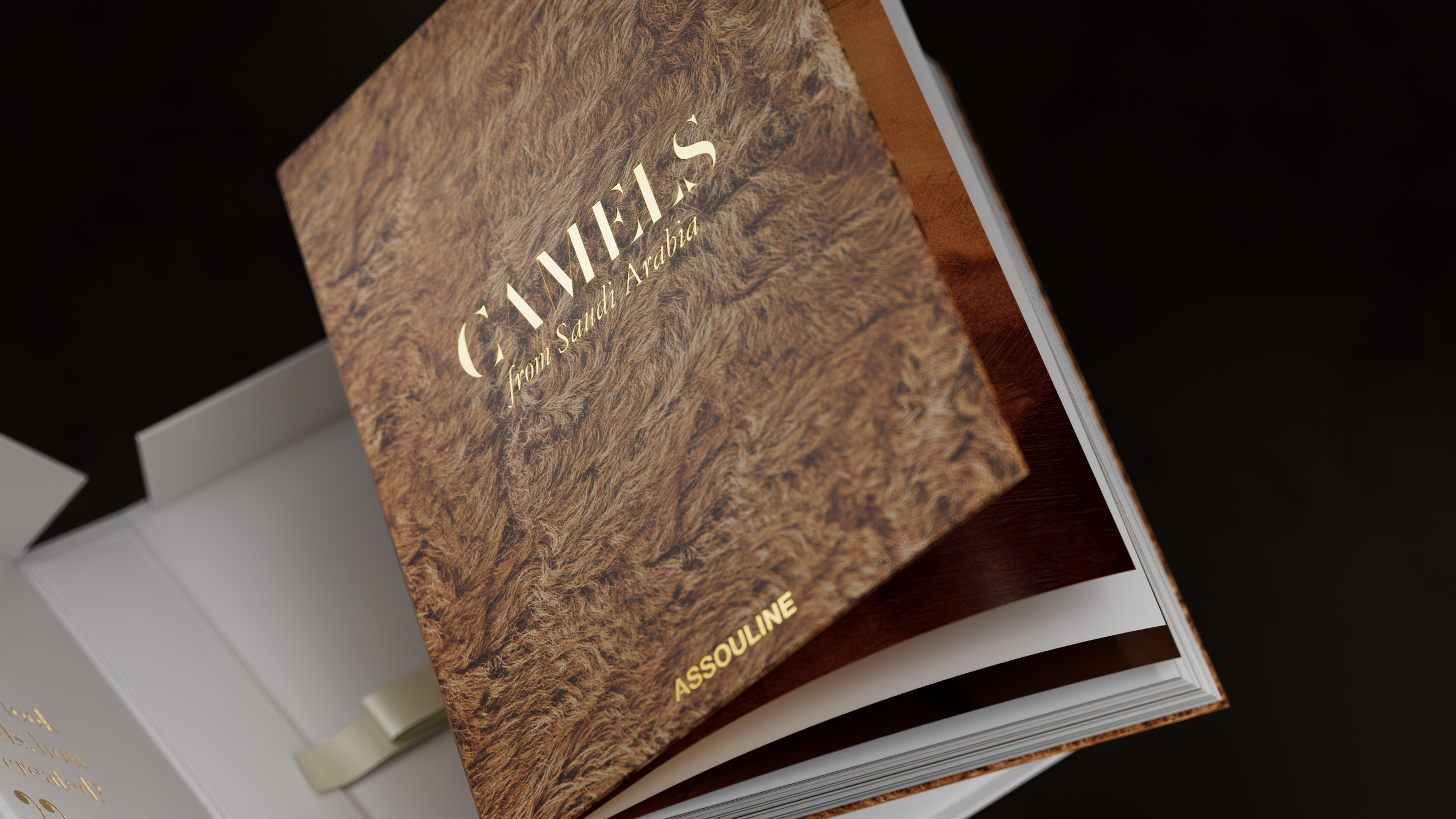 REEL 2024 | Rodion Ambalov — Изображение №22 — 3D, Анимация на Dprofile