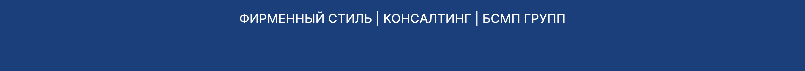 БСМП ГРУПП КОНСАЛТИНГ. ФИРМЕННЫЙ СТИЛЬ. — Изображение №1 — Брендинг, Графика на Dprofile
