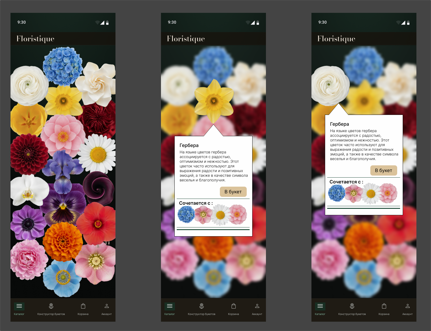Floristique, lo-fi project. UX эксперимент. — Изображение №6 — Интерфейсы на Dprofile