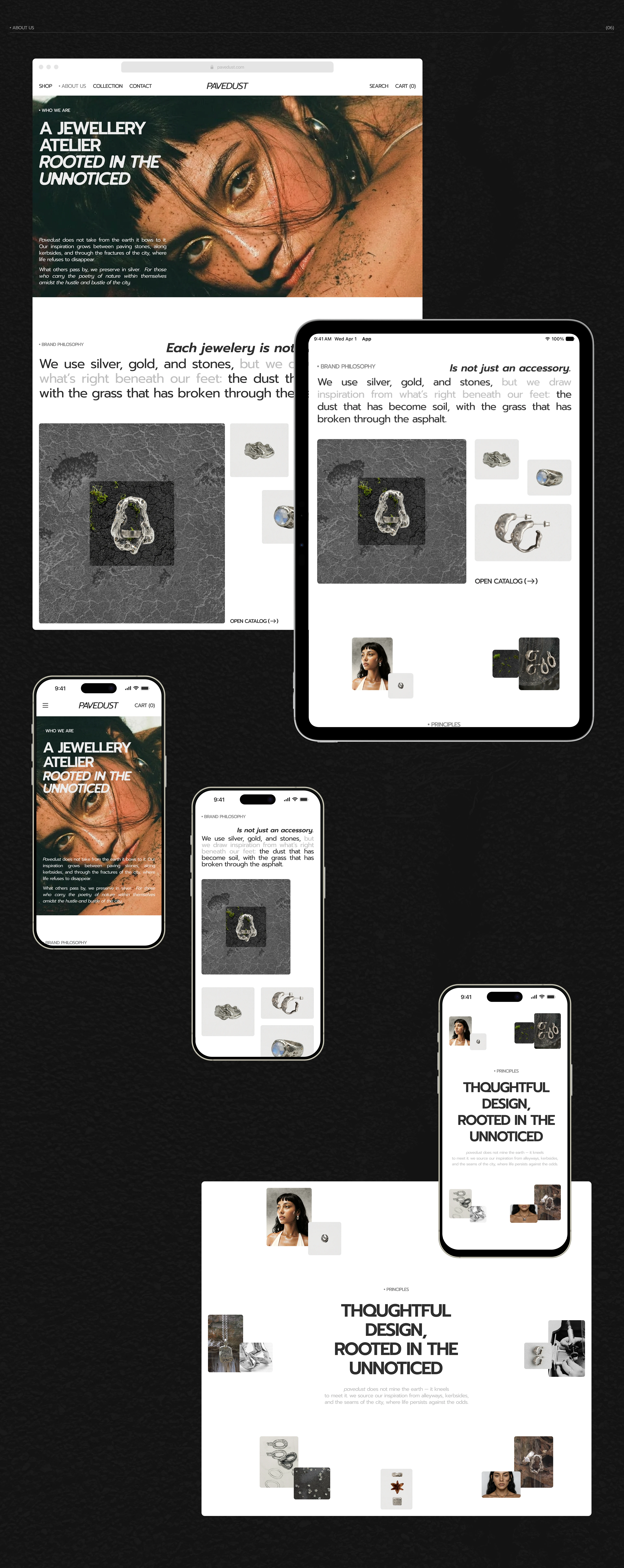 PAVEDUST — Jewelry E-Commerce Website / UX UI — Изображение №8 — Интерфейсы, Нейро на Dprofile