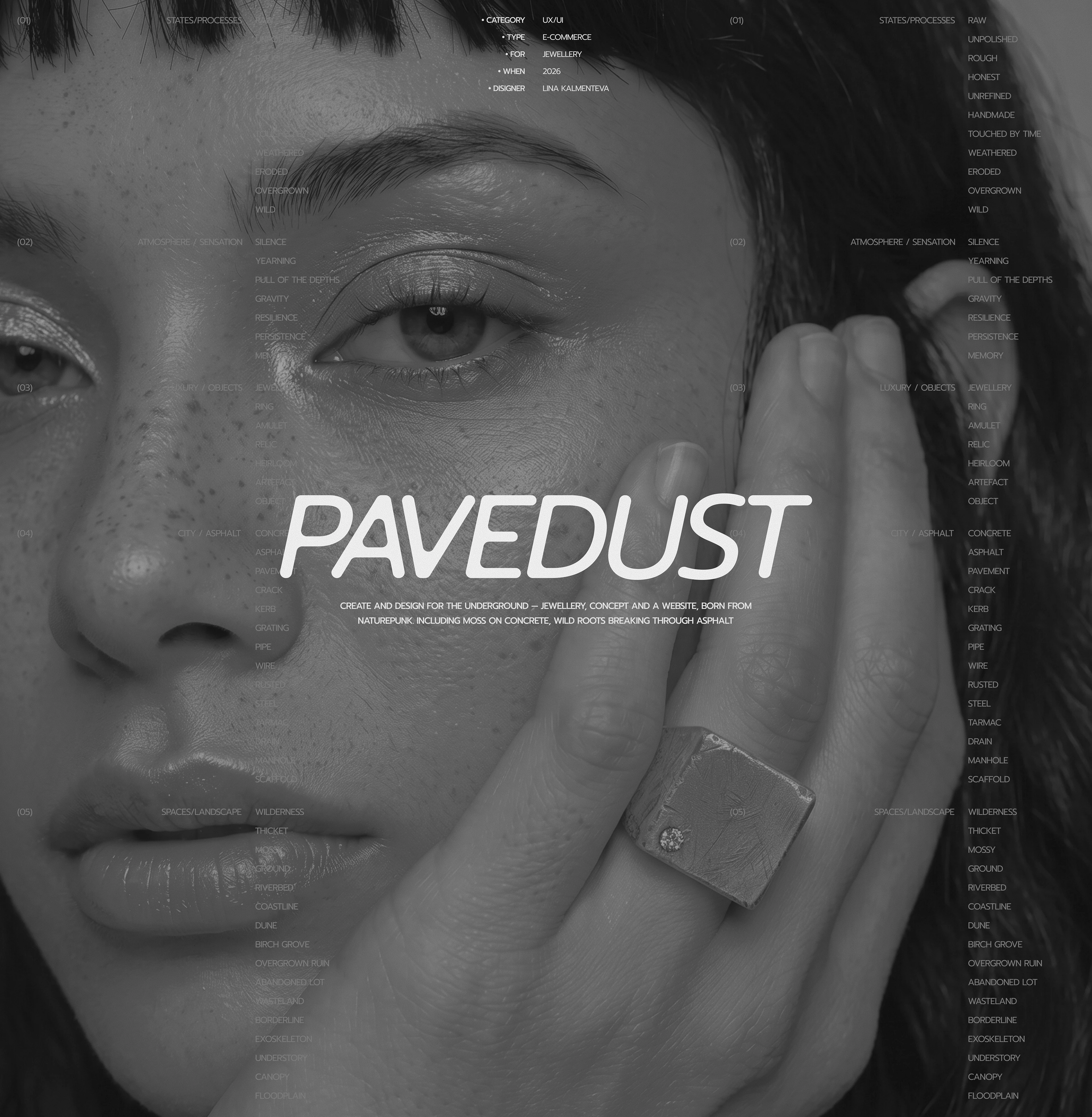 PAVEDUST — Jewelry E-Commerce Website / UX UI — Изображение №1 — Интерфейсы, Нейро на Dprofile