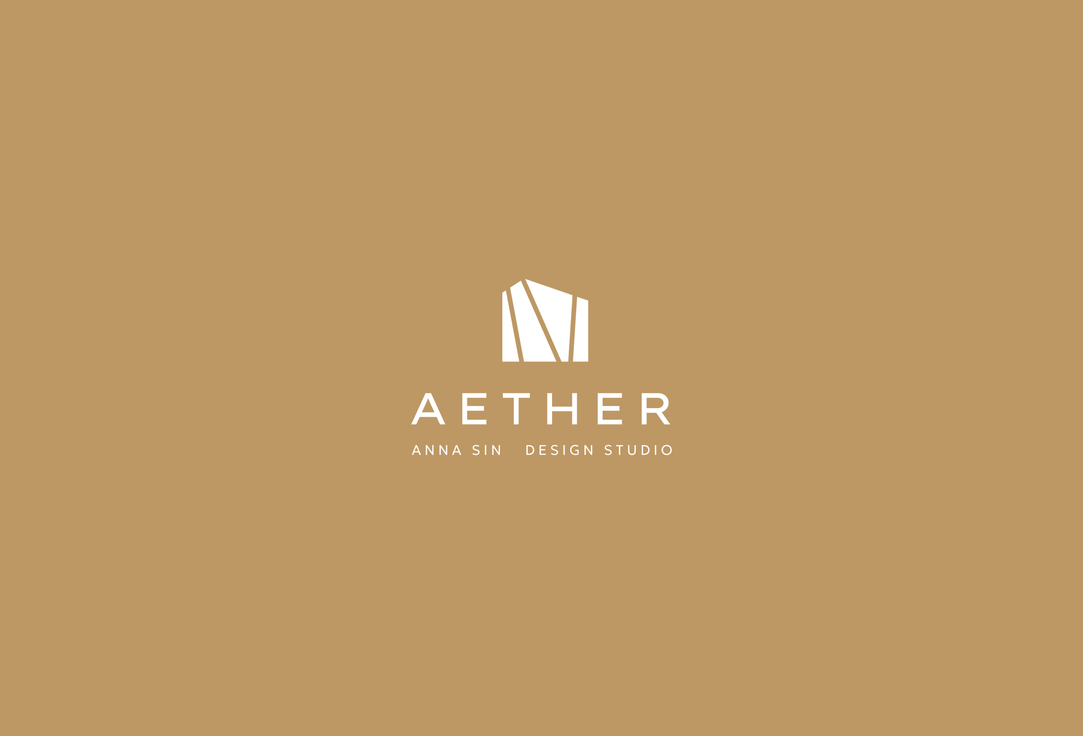 AETHER — концепт, нейминг, фирменный стиль, сайт — Изображение №15 — Брендинг, Графика на Dprofile