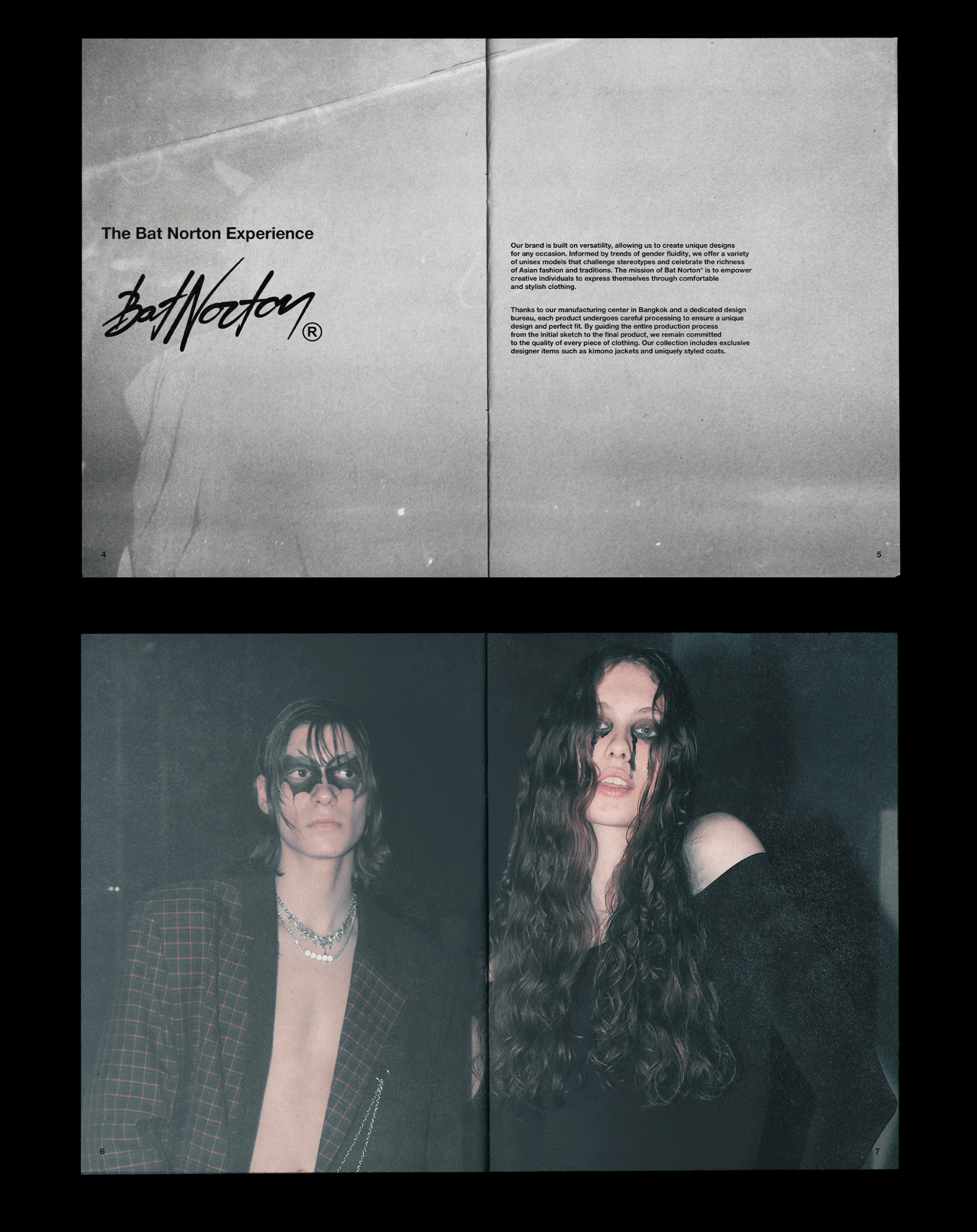 Zine Bat Norton — Изображение №4 — Брендинг, Графика на Dprofile