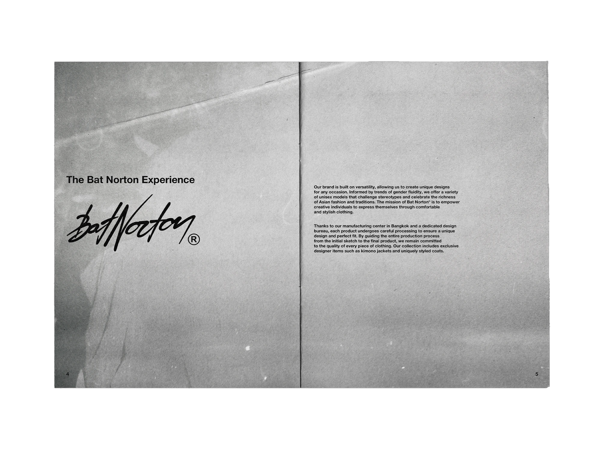 Zine Bat Norton — Изображение №5 — Брендинг, Графика на Dprofile