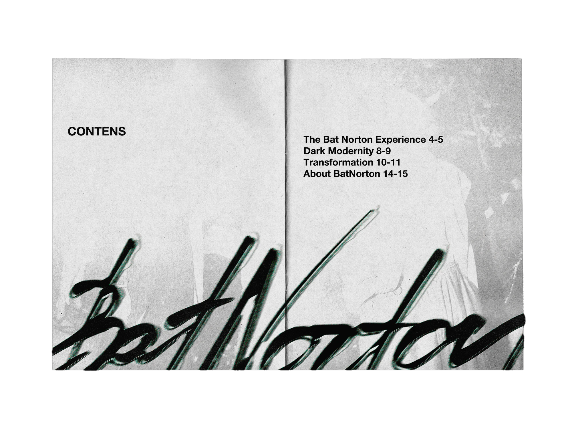 Zine Bat Norton — Изображение №4 — Брендинг, Графика на Dprofile