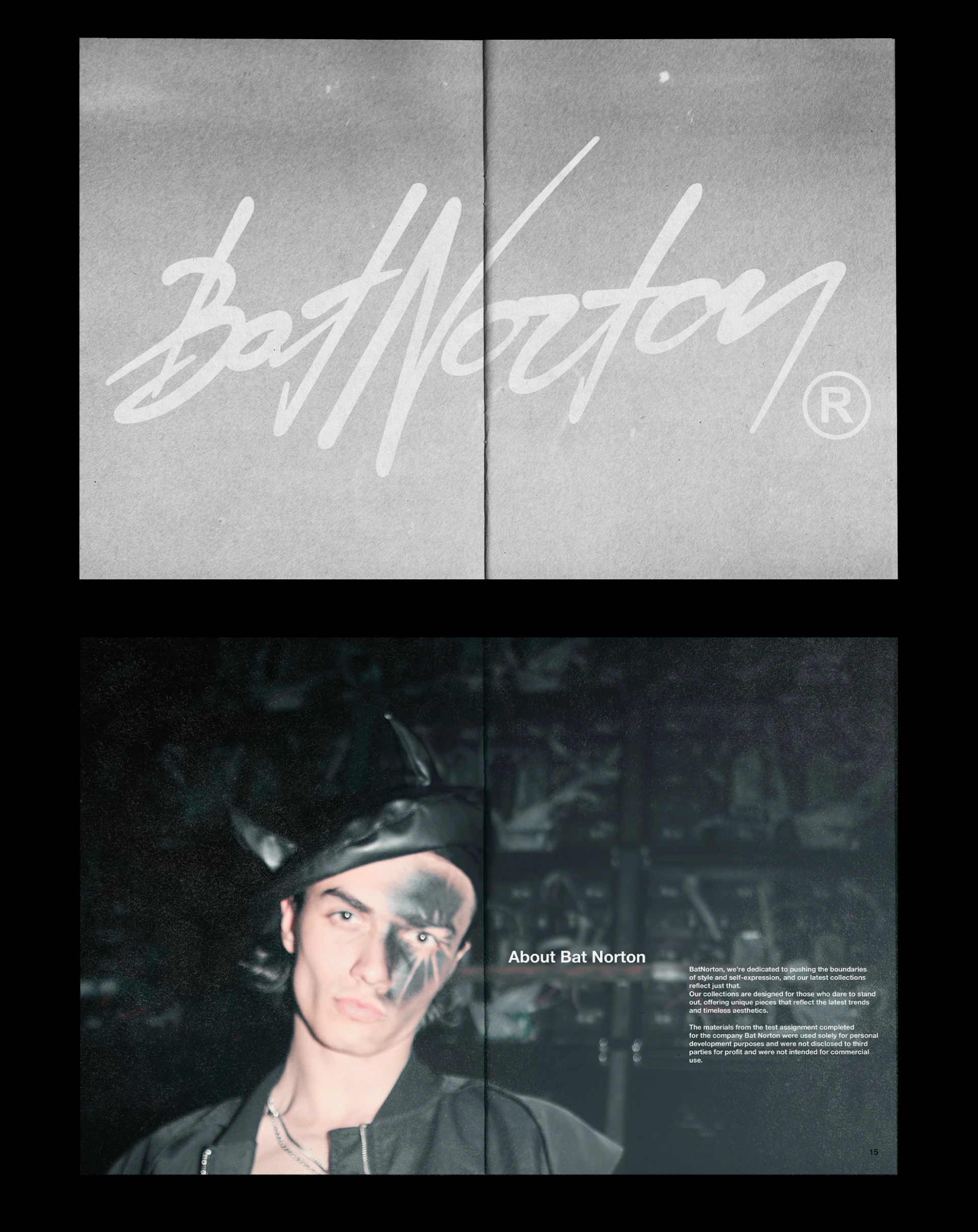 Zine Bat Norton — Изображение №6 — Брендинг, Графика на Dprofile
