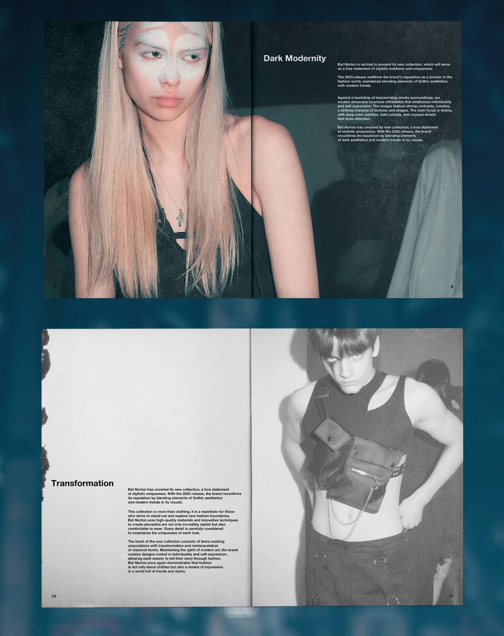 Zine Bat Norton — Изображение №5 — Брендинг, Графика на Dprofile