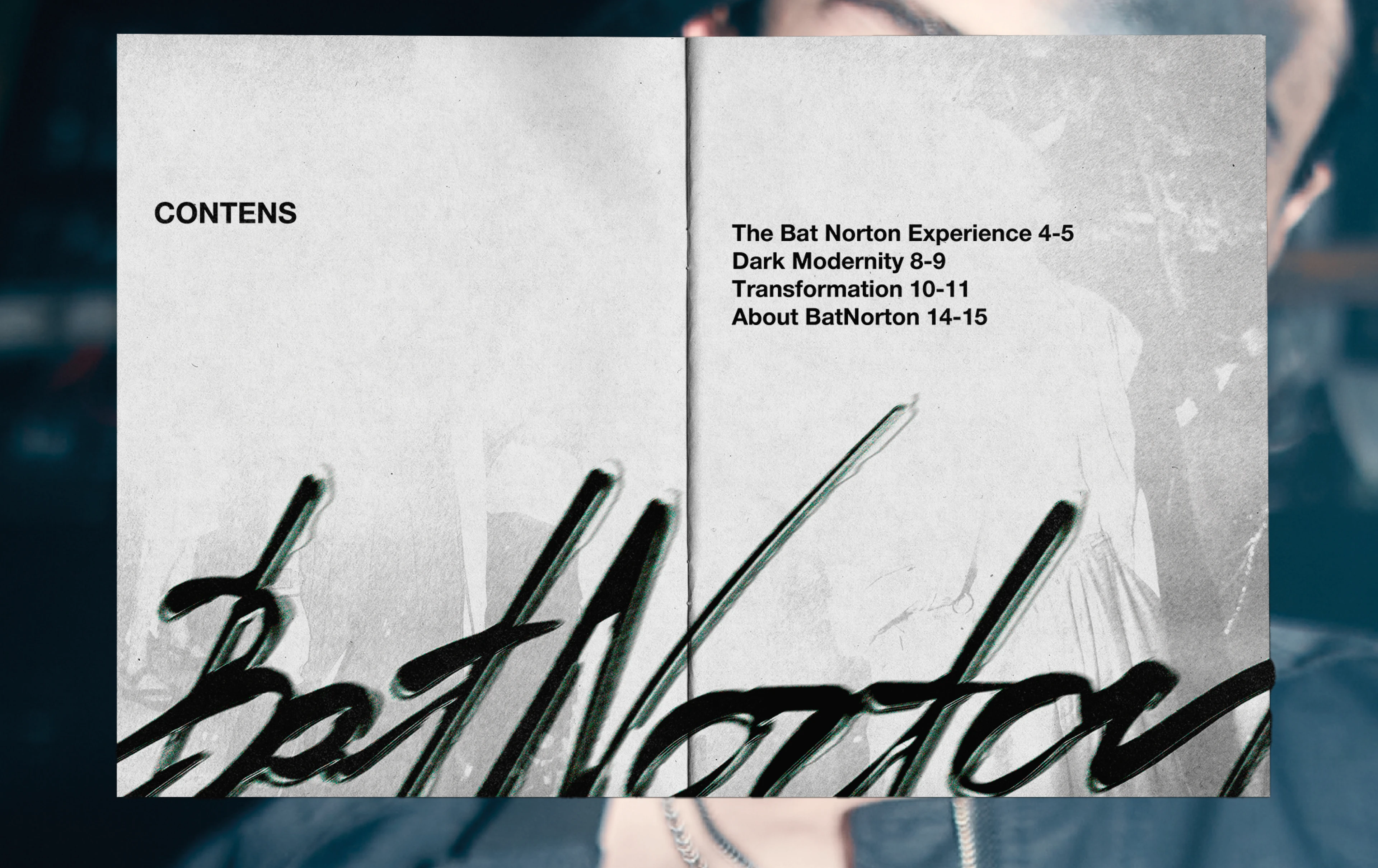 Zine Bat Norton — Изображение №3 — Брендинг, Графика на Dprofile