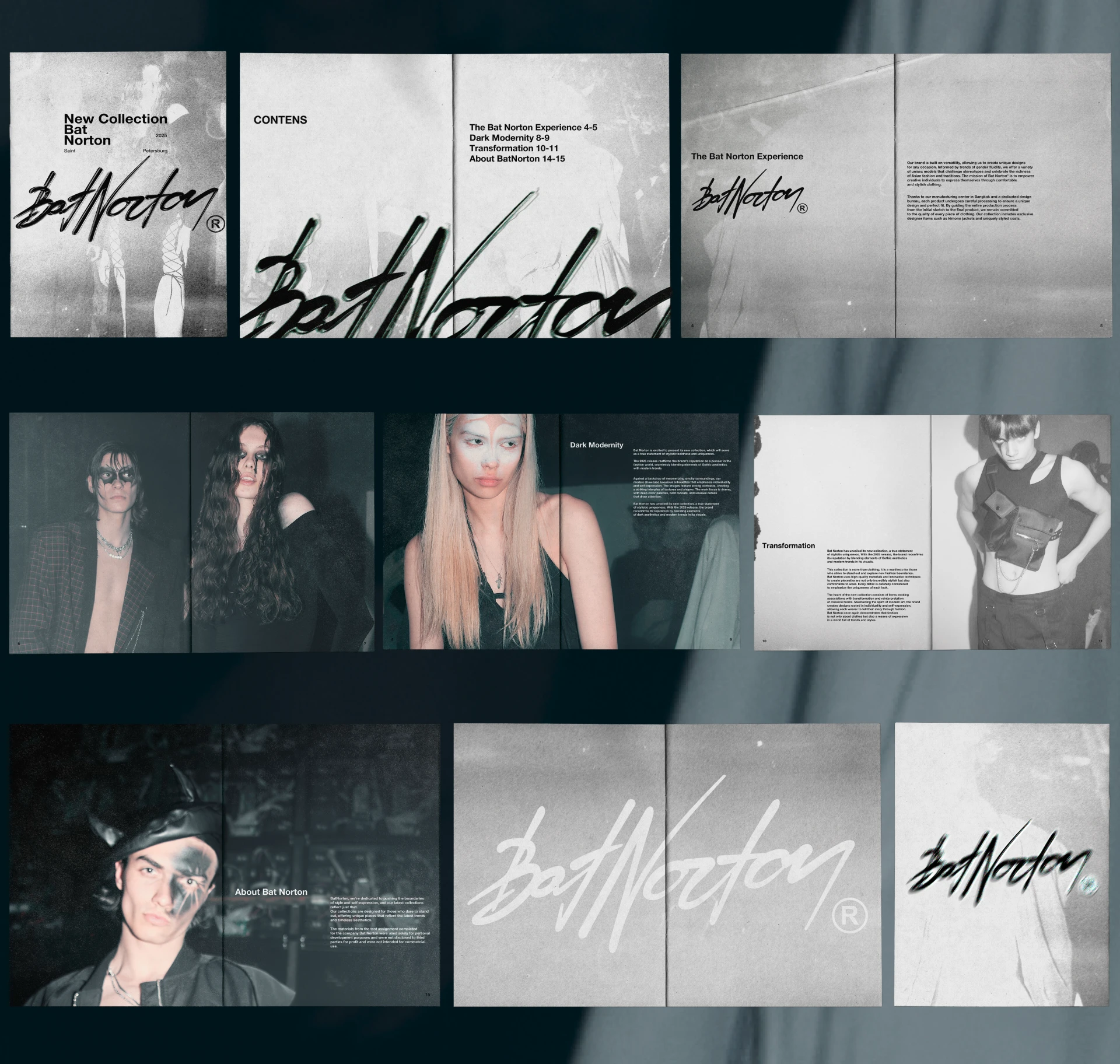 Zine Bat Norton — Изображение №7 — Брендинг, Графика на Dprofile