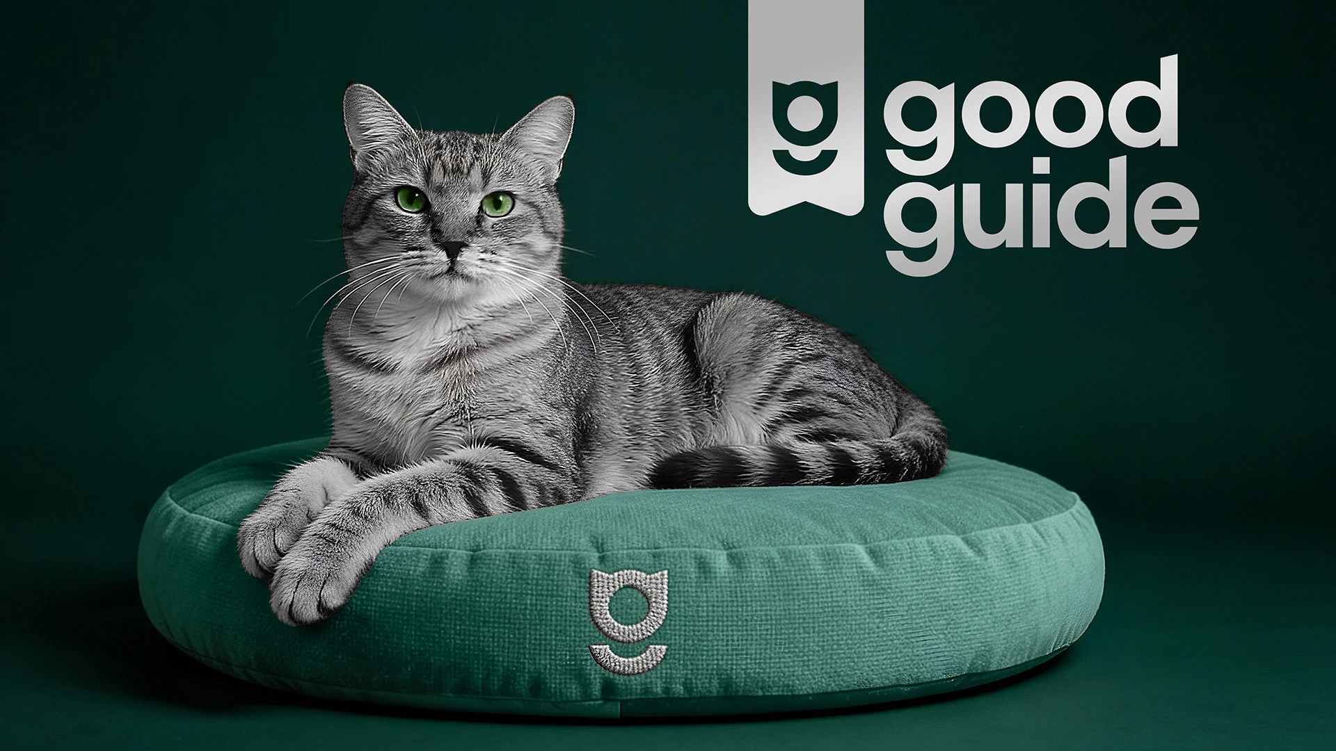 Good Guide — Изображение №1 — Брендинг на Dprofile