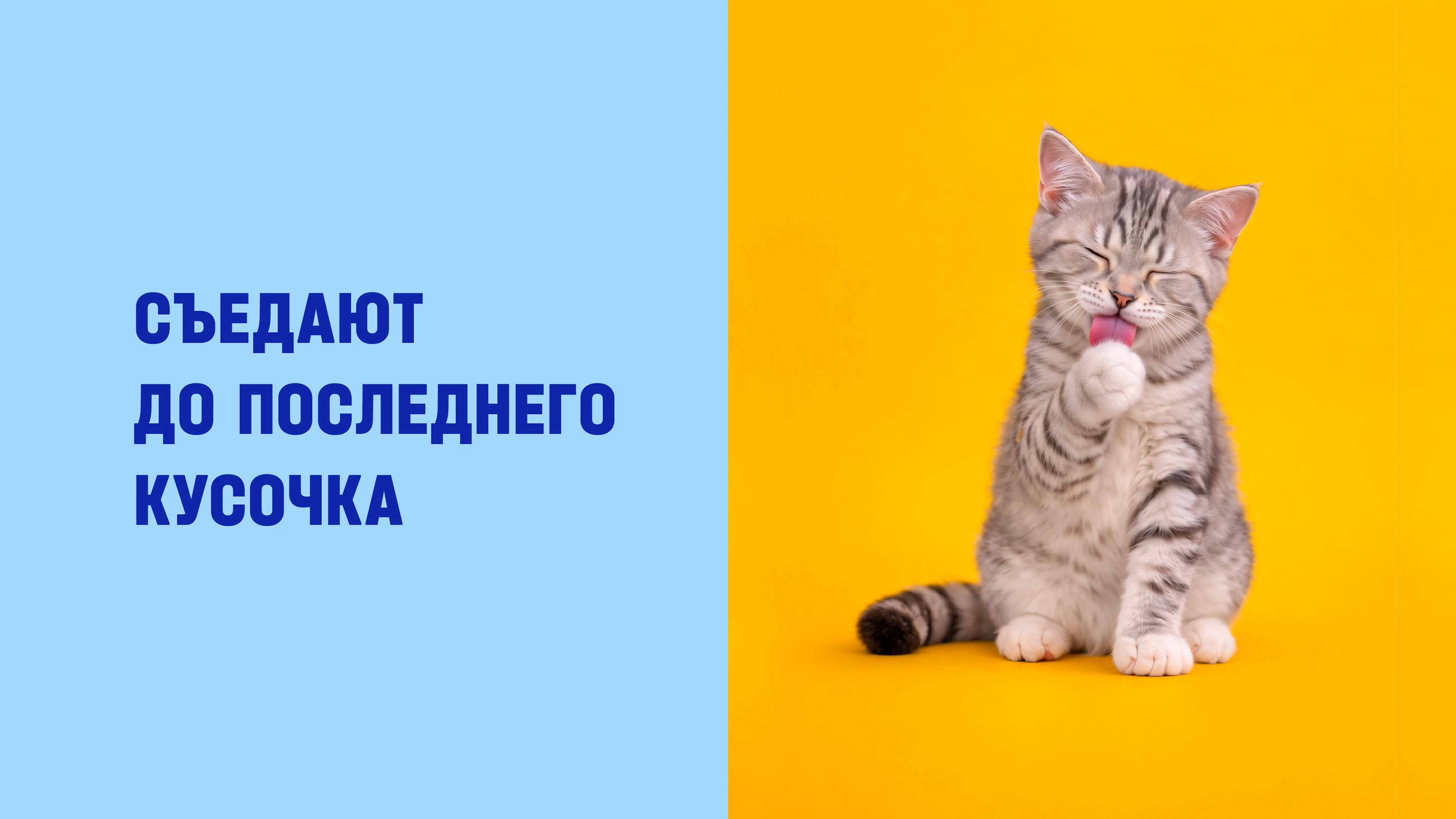 EVERYBITE — Изображение №3 — Брендинг на Dprofile