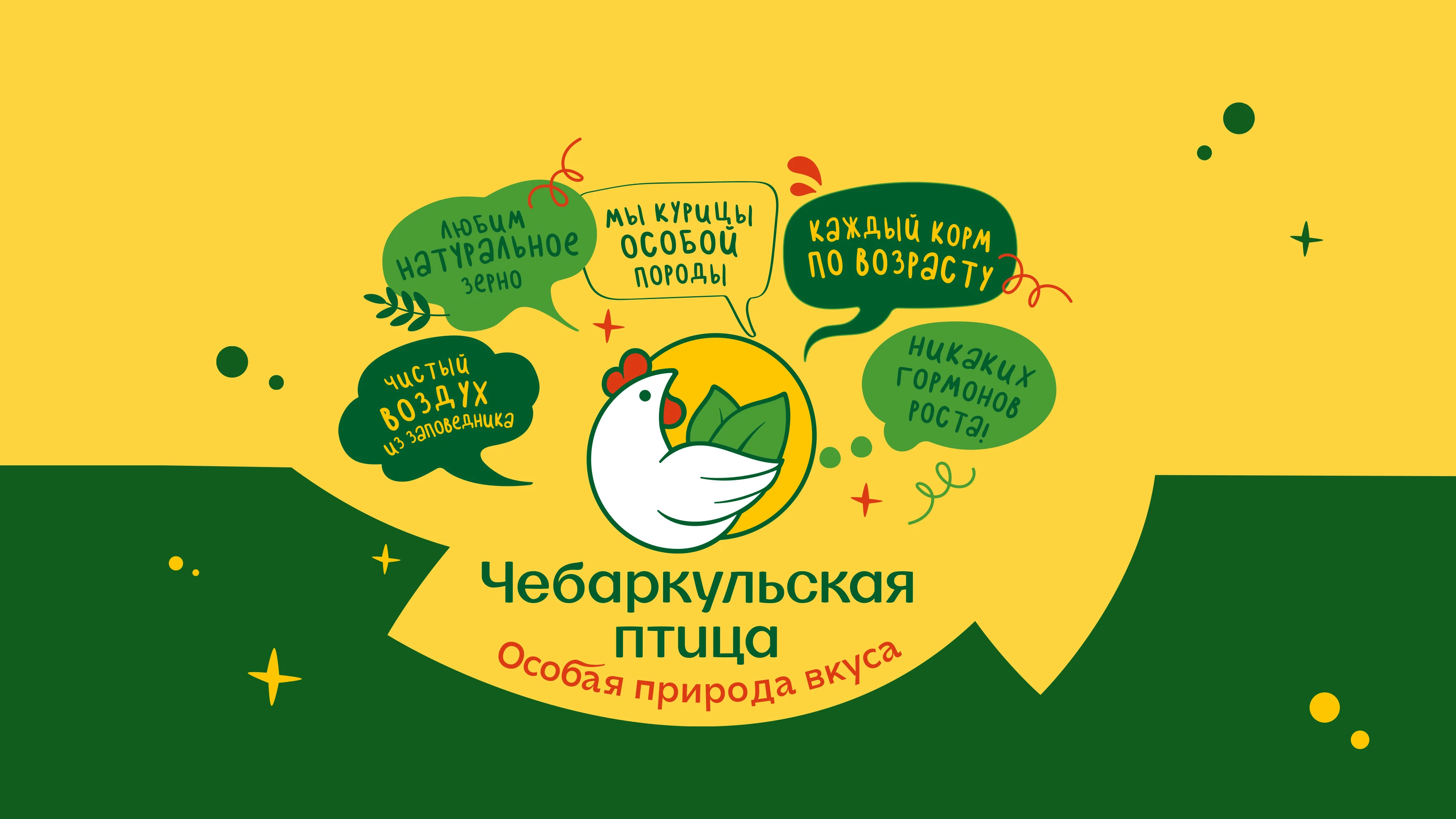 Чебаркульская птица — Изображение №1 — Брендинг на Dprofile