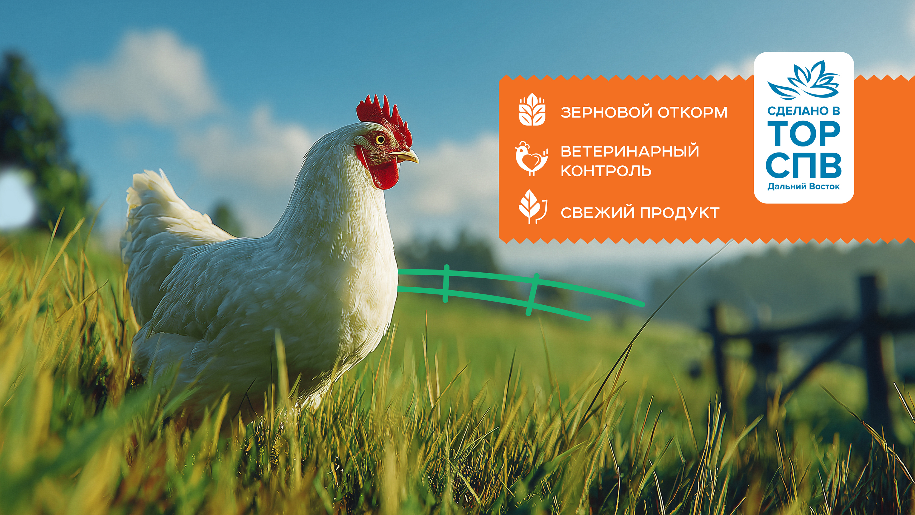 Приморская птица — Изображение №7 — Брендинг на Dprofile