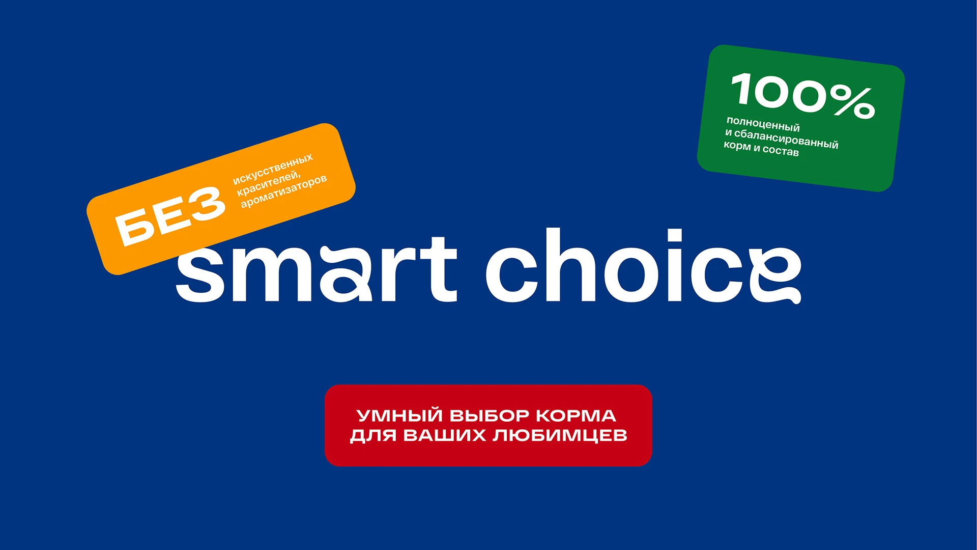 Smart Choice — Изображение №1 — Брендинг на Dprofile