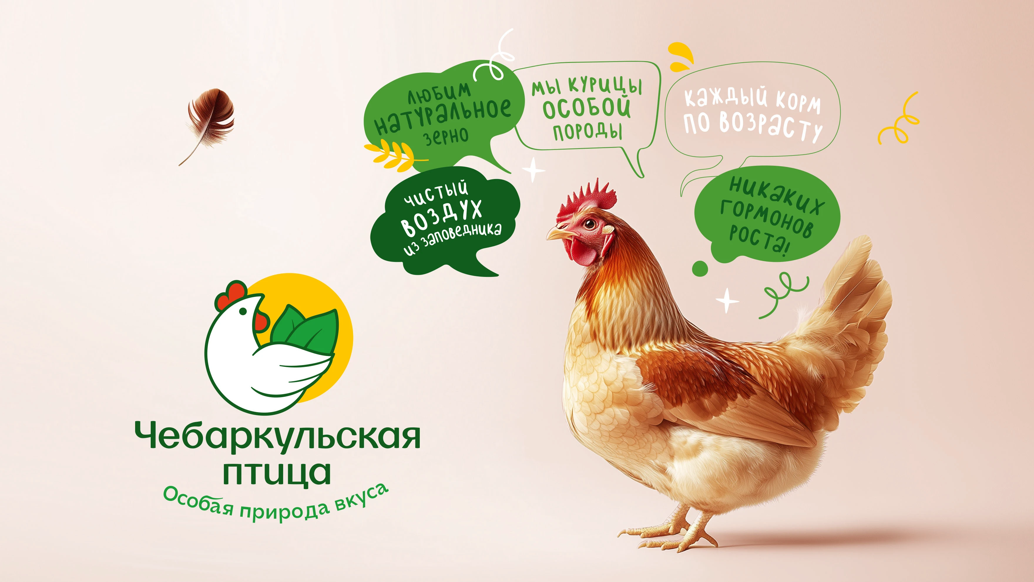 Чебаркульская птица — Изображение №2 — Брендинг на Dprofile