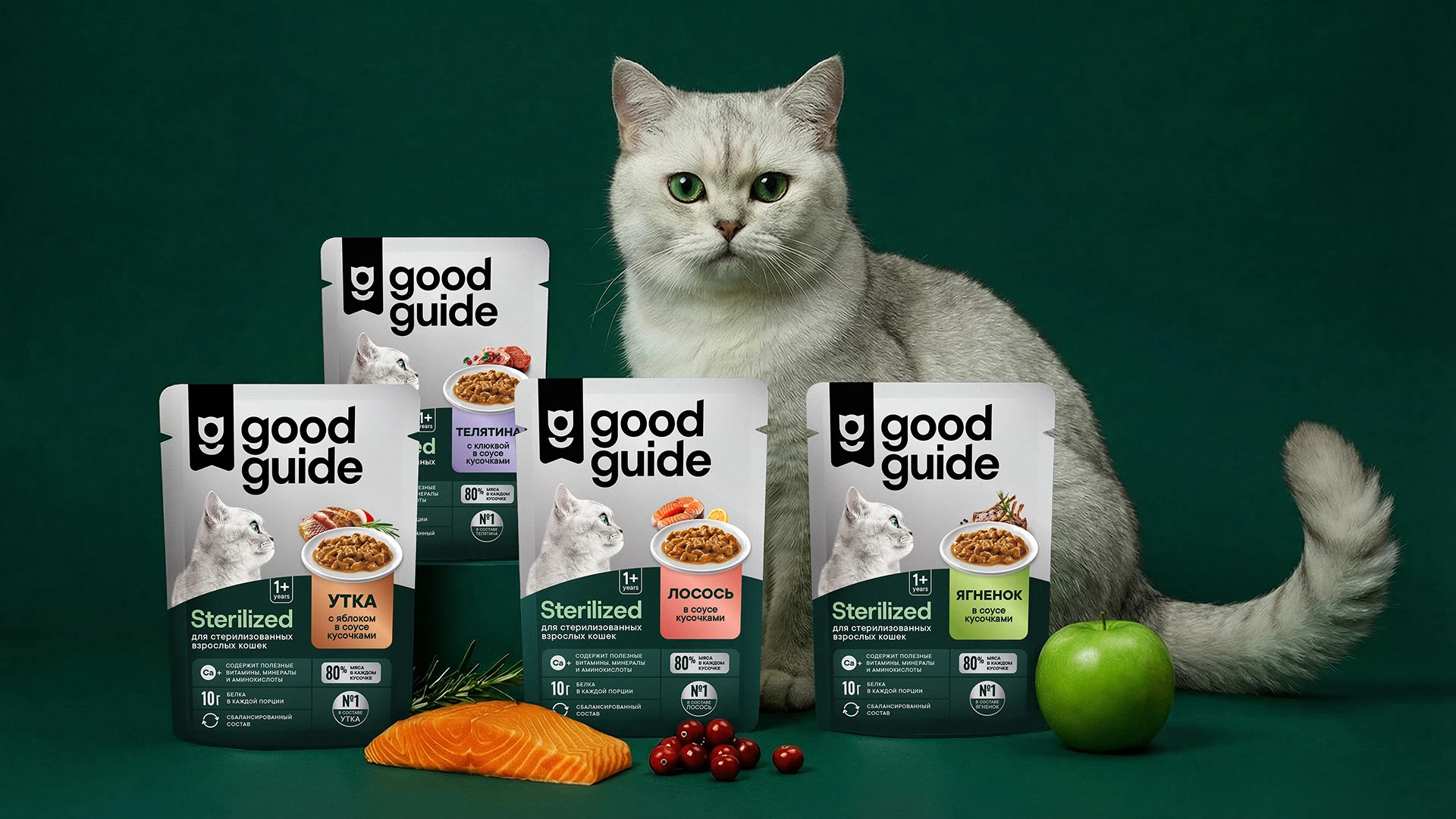 Good Guide — Изображение №2 — Брендинг на Dprofile