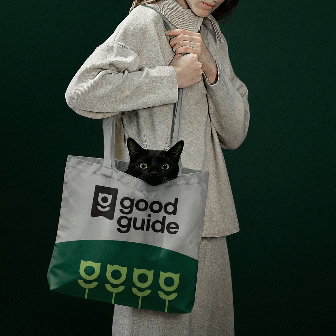 Good Guide — Изображение №3 — Брендинг на Dprofile